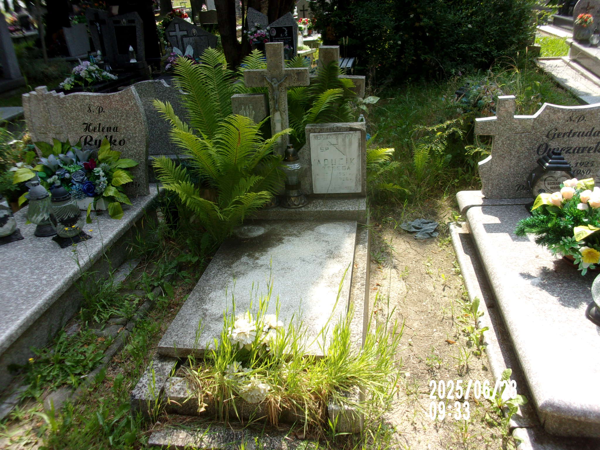 Teresa Aducik 1951 Zgorzelec - Grobonet - Wyszukiwarka osób pochowanych