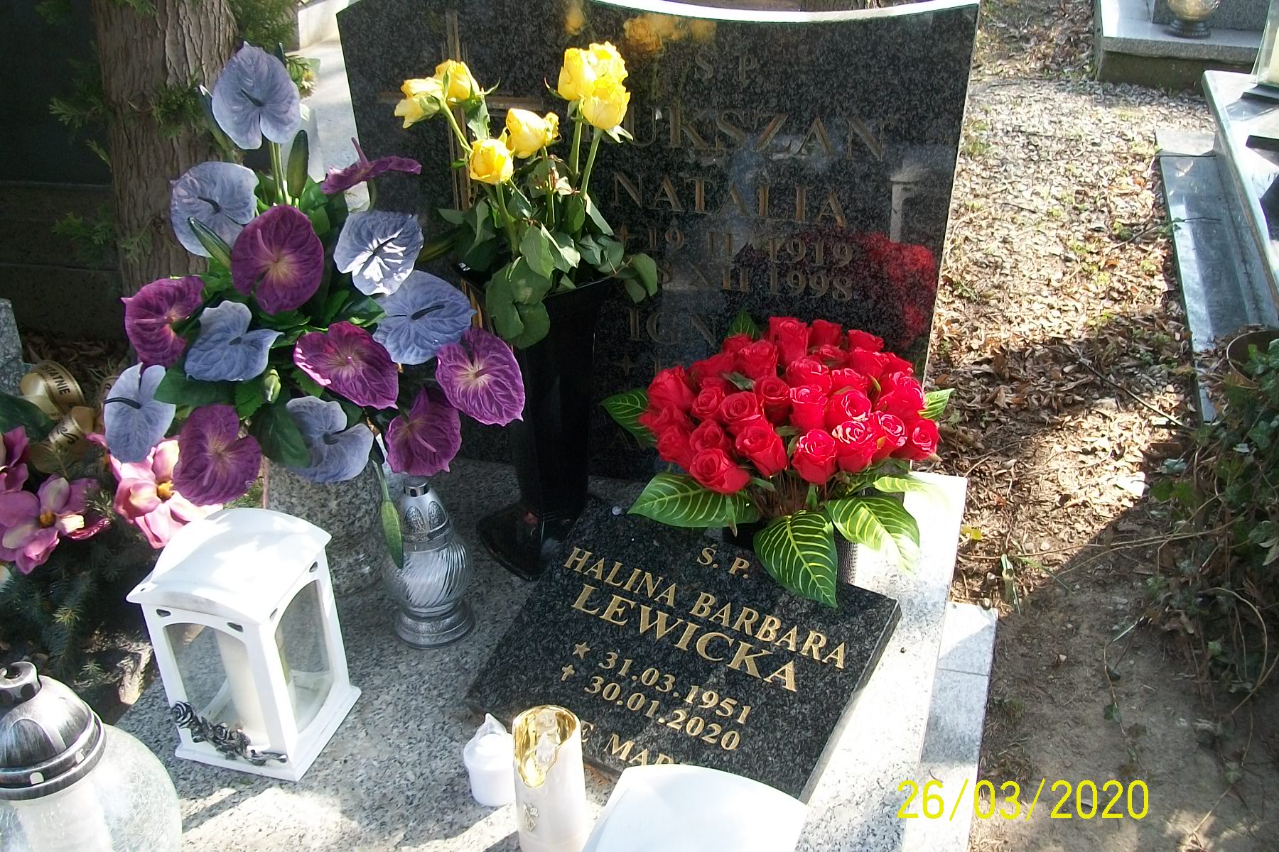 Ignacy Rukszan 1902 Zgorzelec - Grobonet - Wyszukiwarka osób pochowanych