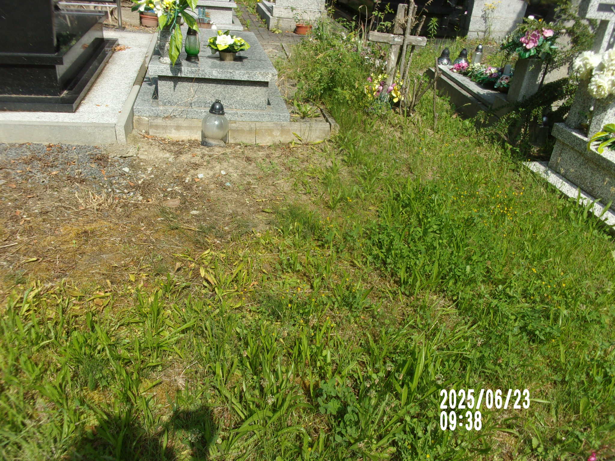 Zuzanna Wydra 1890 Zgorzelec - Grobonet - Wyszukiwarka osób pochowanych