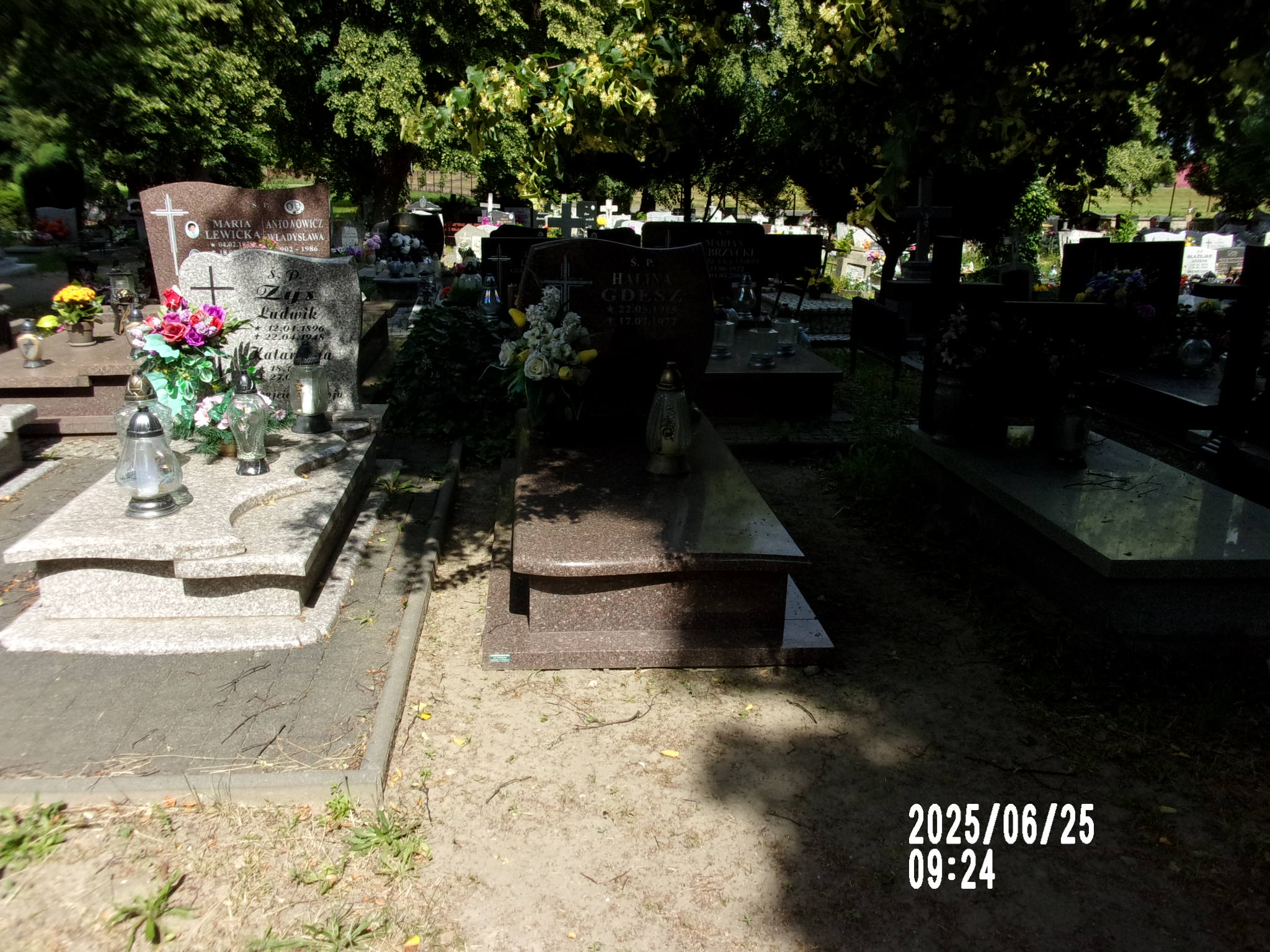 Halina Gdesz 1915 Zgorzelec - Grobonet - Wyszukiwarka osób pochowanych