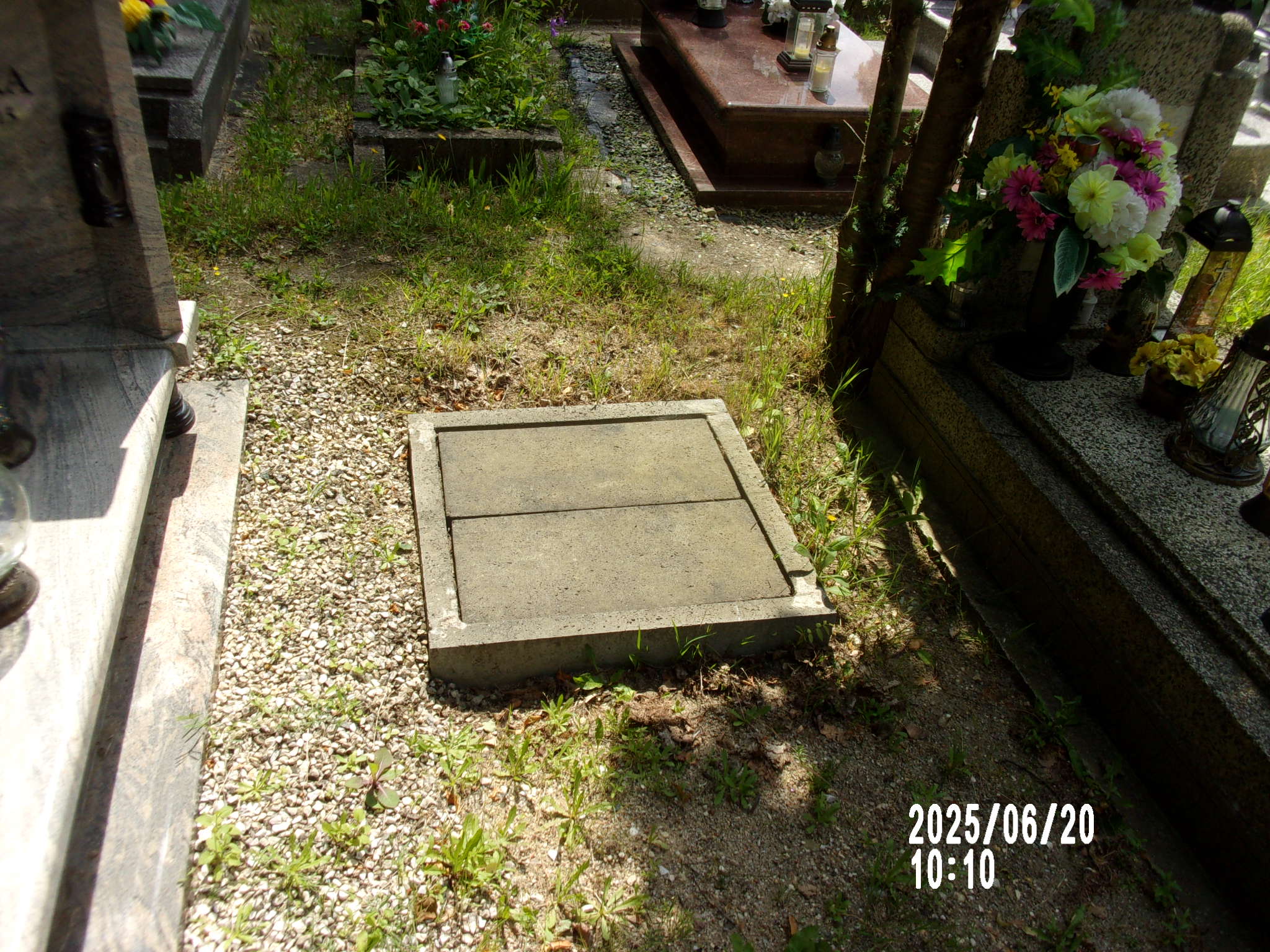 Michał Mazur 1893 Zgorzelec - Grobonet - Wyszukiwarka osób pochowanych