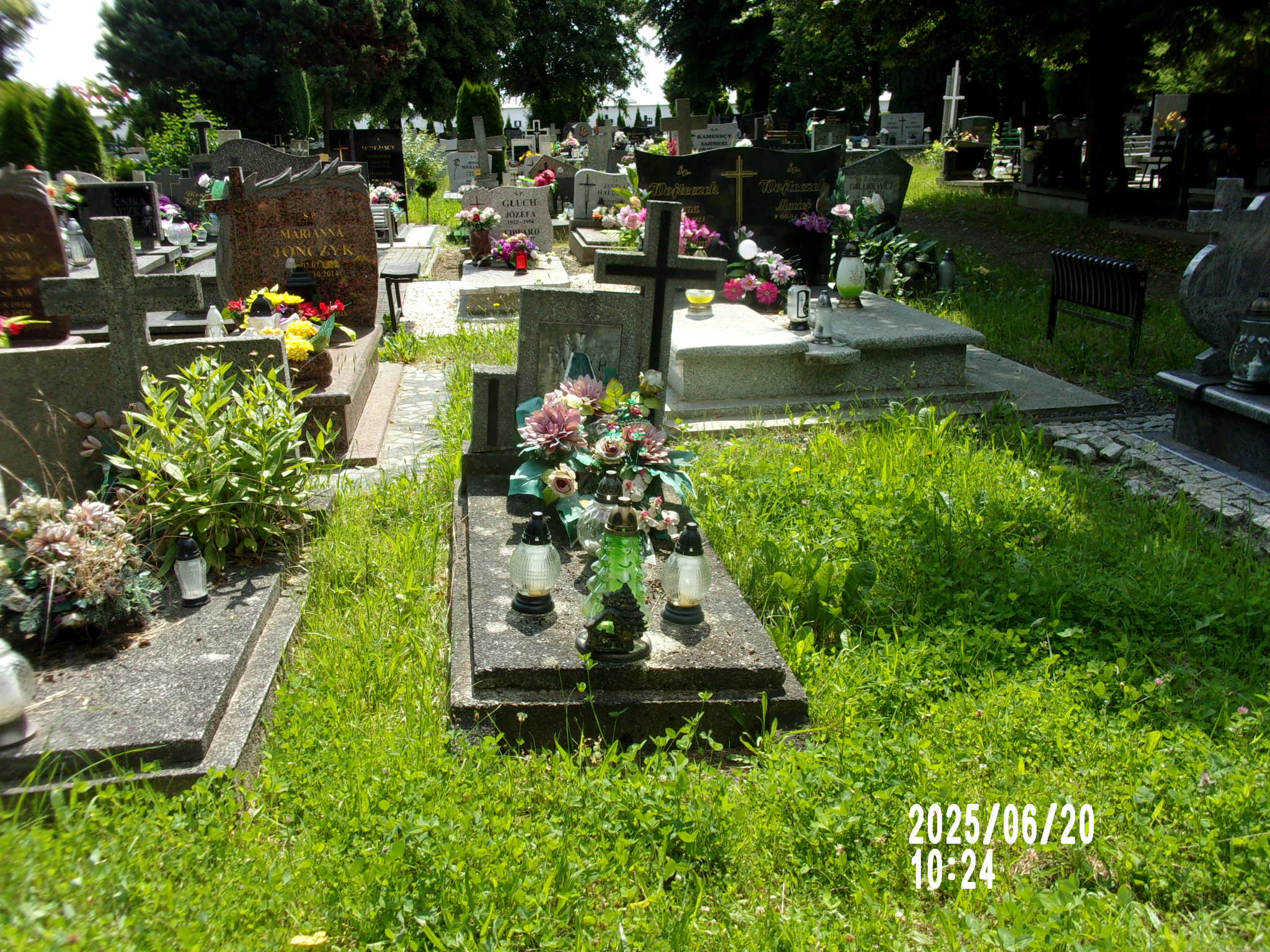 Joanna Dabiach 1887 Zgorzelec - Grobonet - Wyszukiwarka osób pochowanych