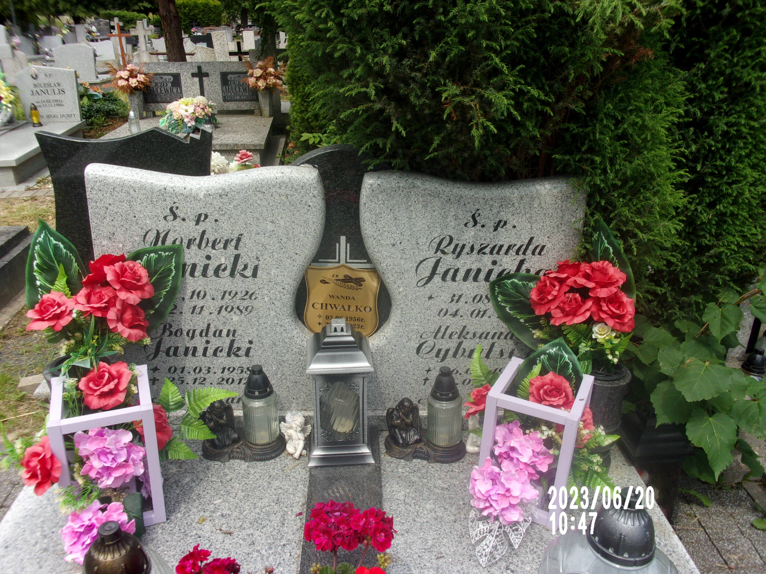 Aleksander Cybulski 1903 Zgorzelec - Grobonet - Wyszukiwarka osób pochowanych