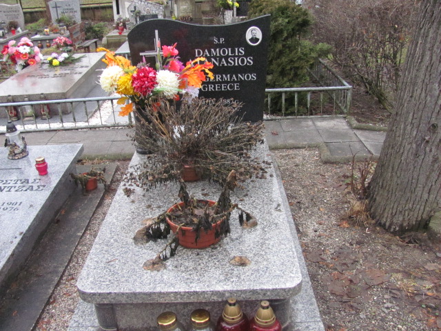 Damolis Atanosis 1884 Zgorzelec - Grobonet - Wyszukiwarka osób pochowanych