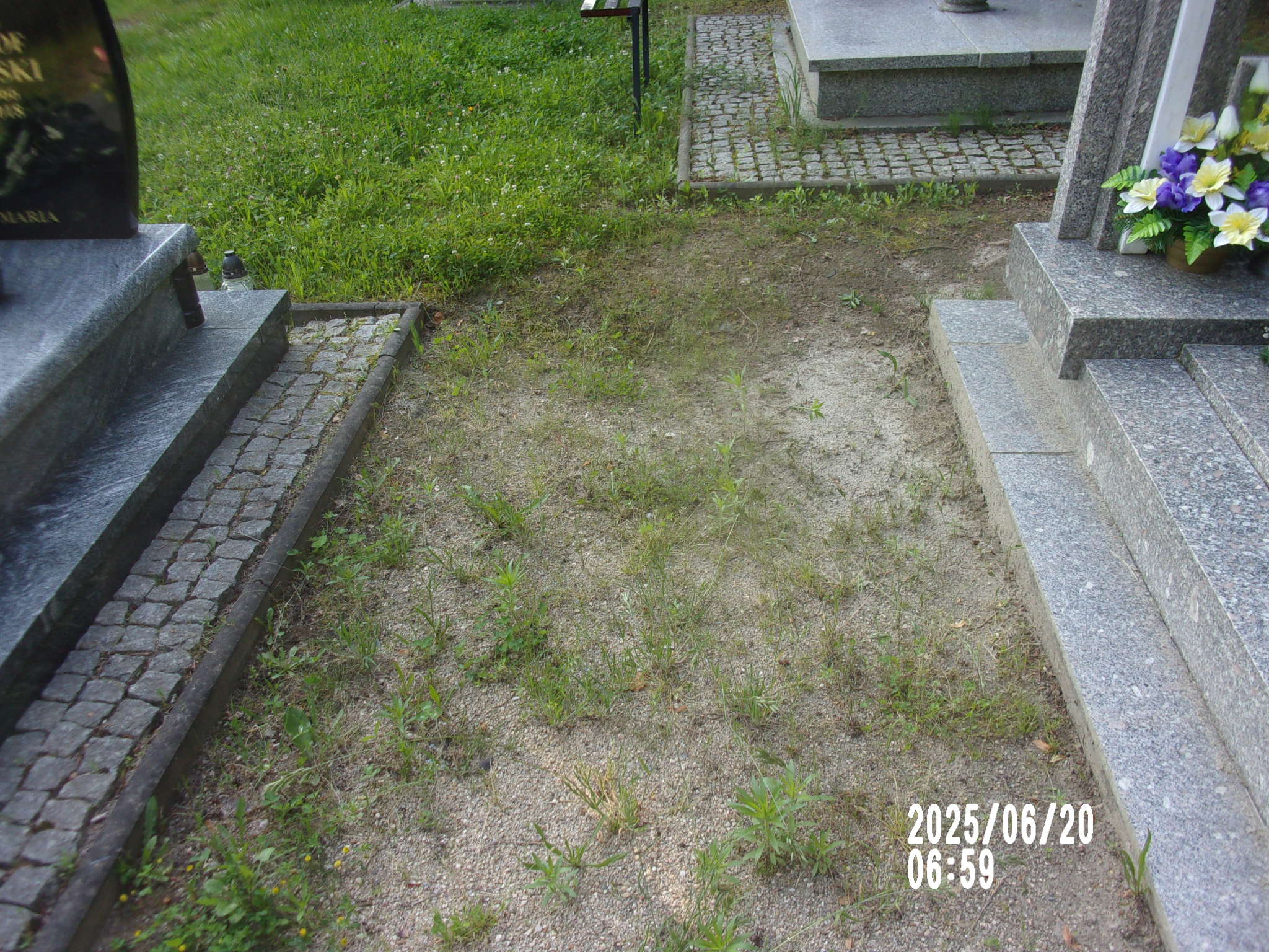 Grób Zofia Szyngiel