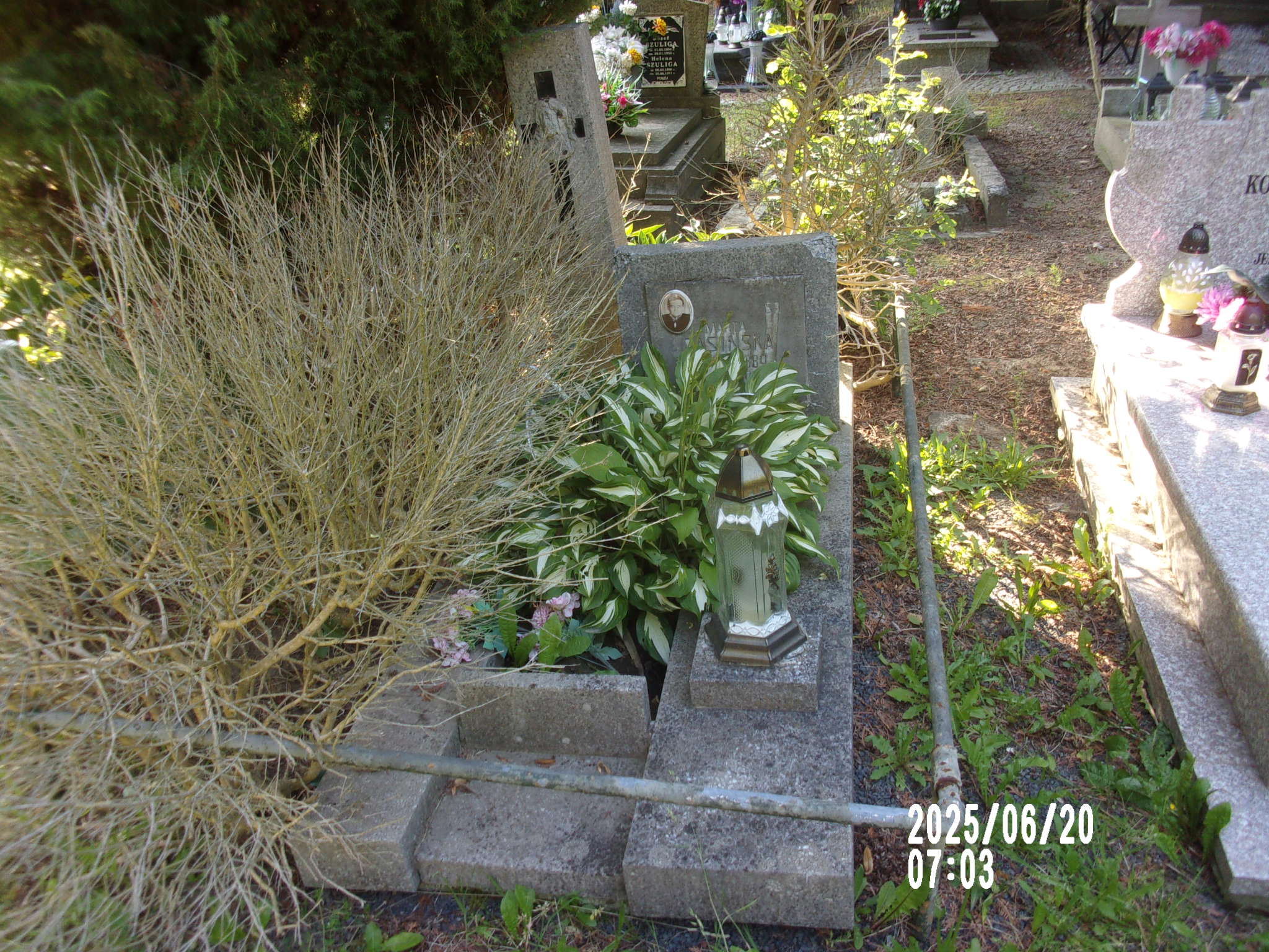 Marta Jasińska 1889 Zgorzelec - Grobonet - Wyszukiwarka osób pochowanych