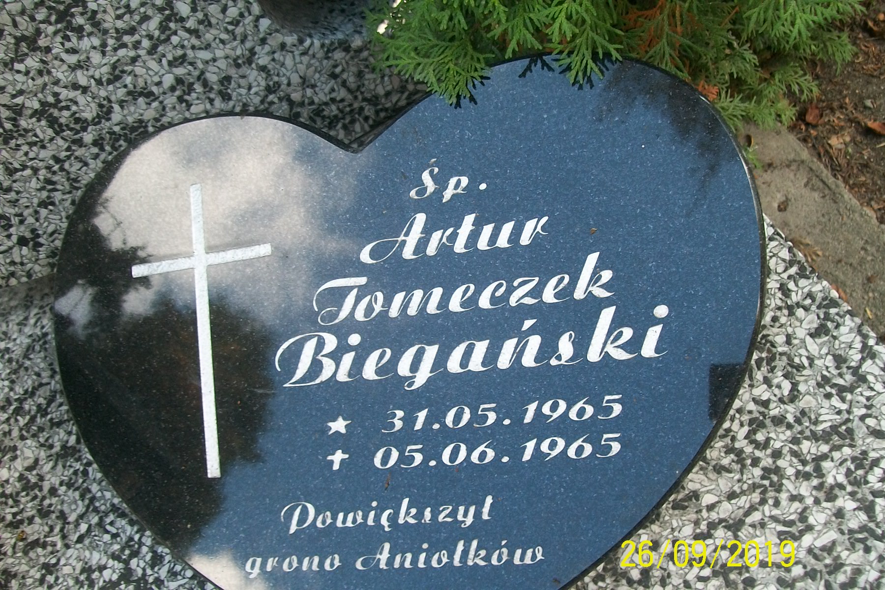 Artur Biegański 1965 Zgorzelec - Grobonet - Wyszukiwarka osób pochowanych