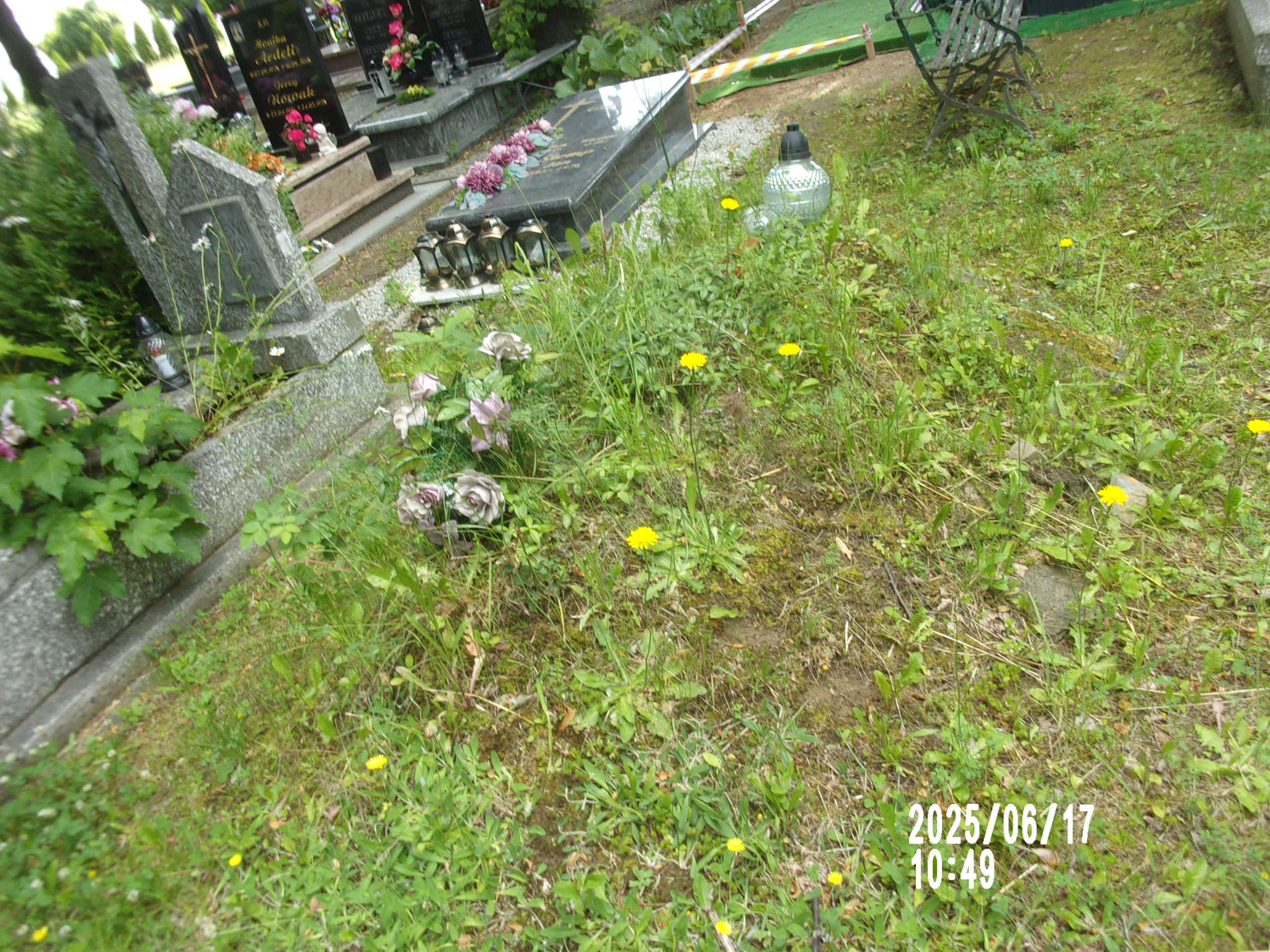  NN Zgorzelec - Grobonet - Wyszukiwarka osób pochowanych