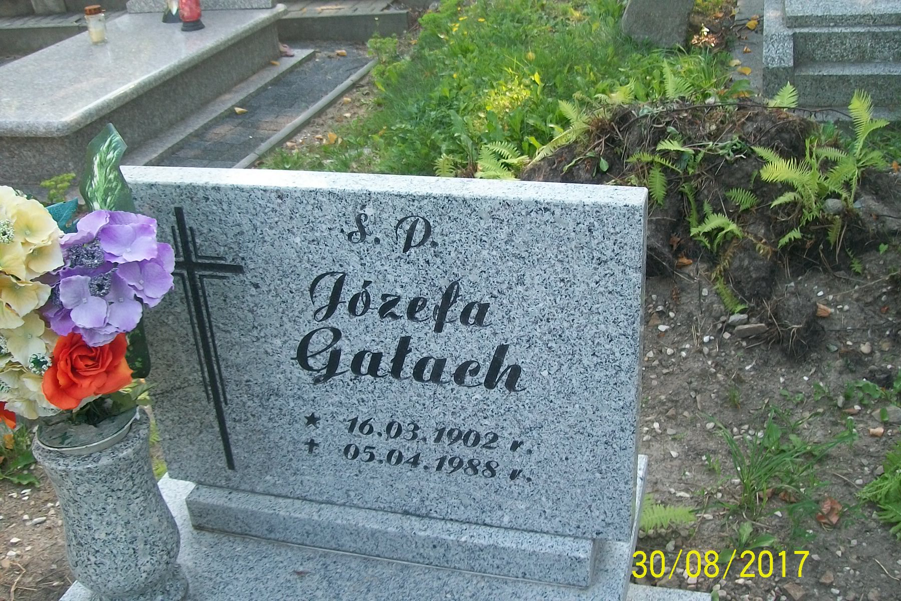 Józefa Gałach 1902 Zgorzelec - Grobonet - Wyszukiwarka osób pochowanych