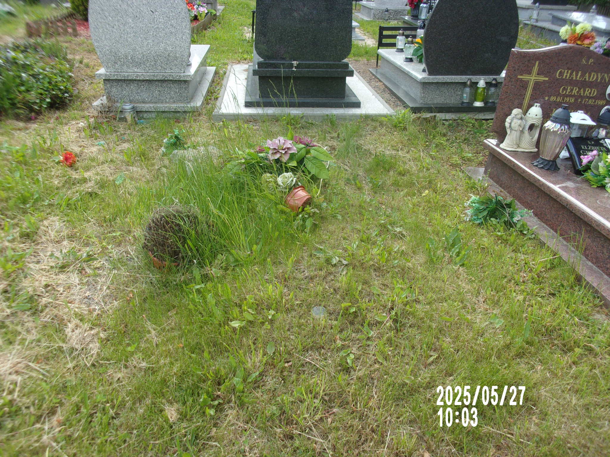  NN Zgorzelec - Grobonet - Wyszukiwarka osób pochowanych