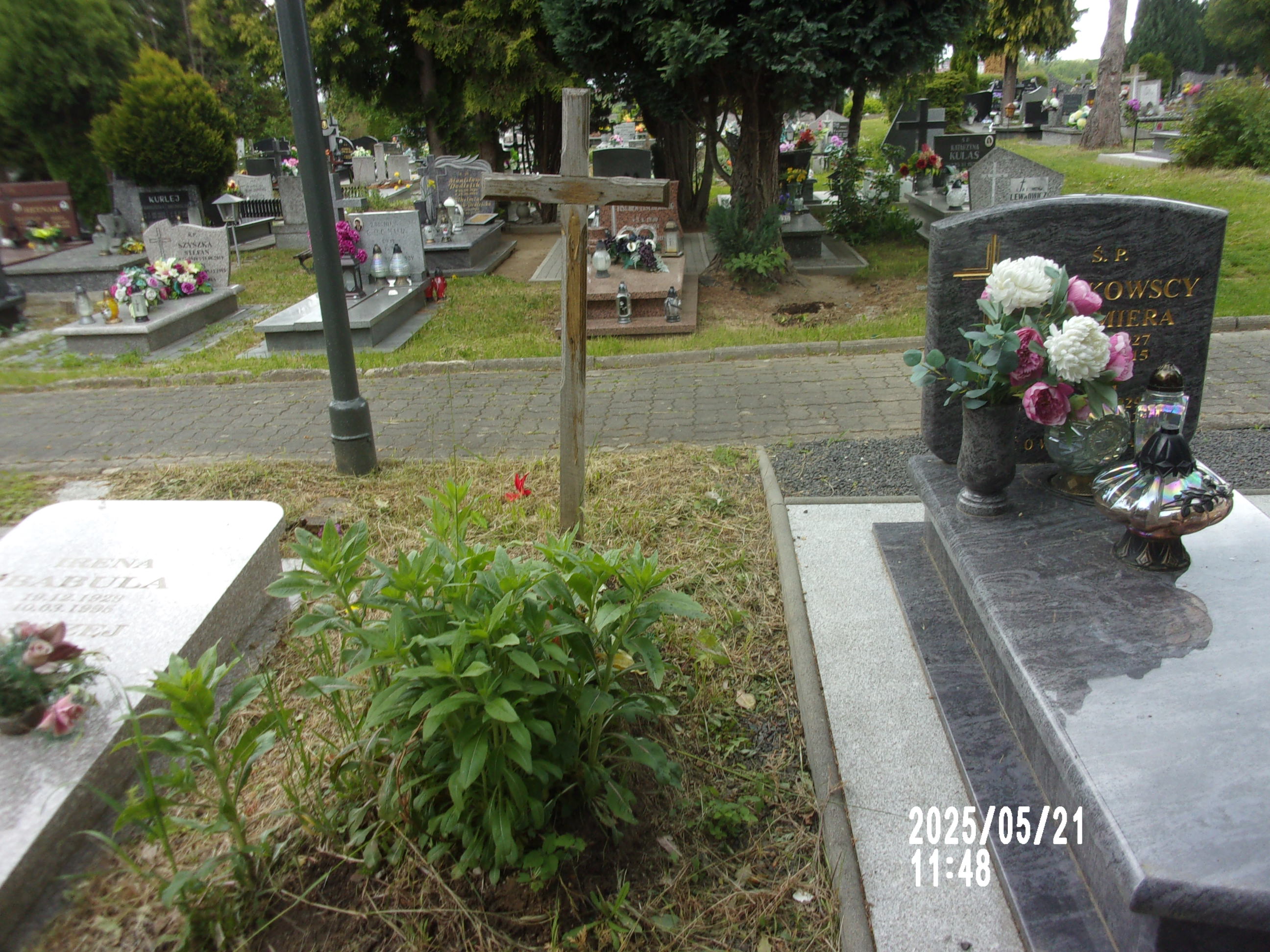  NN Zgorzelec - Grobonet - Wyszukiwarka osób pochowanych