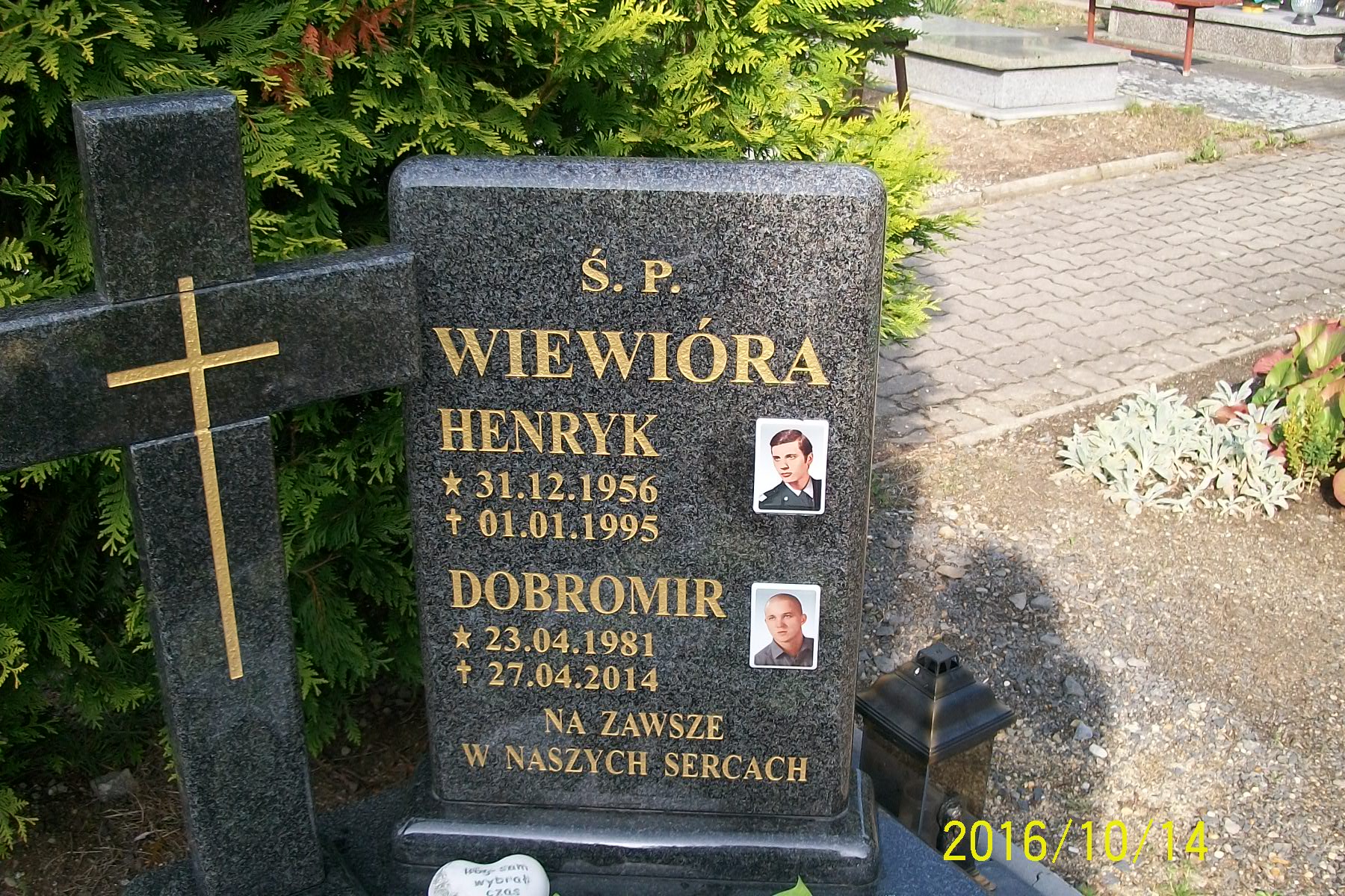 Dobromir Wiewióra 1981 Zgorzelec - Grobonet - Wyszukiwarka osób pochowanych