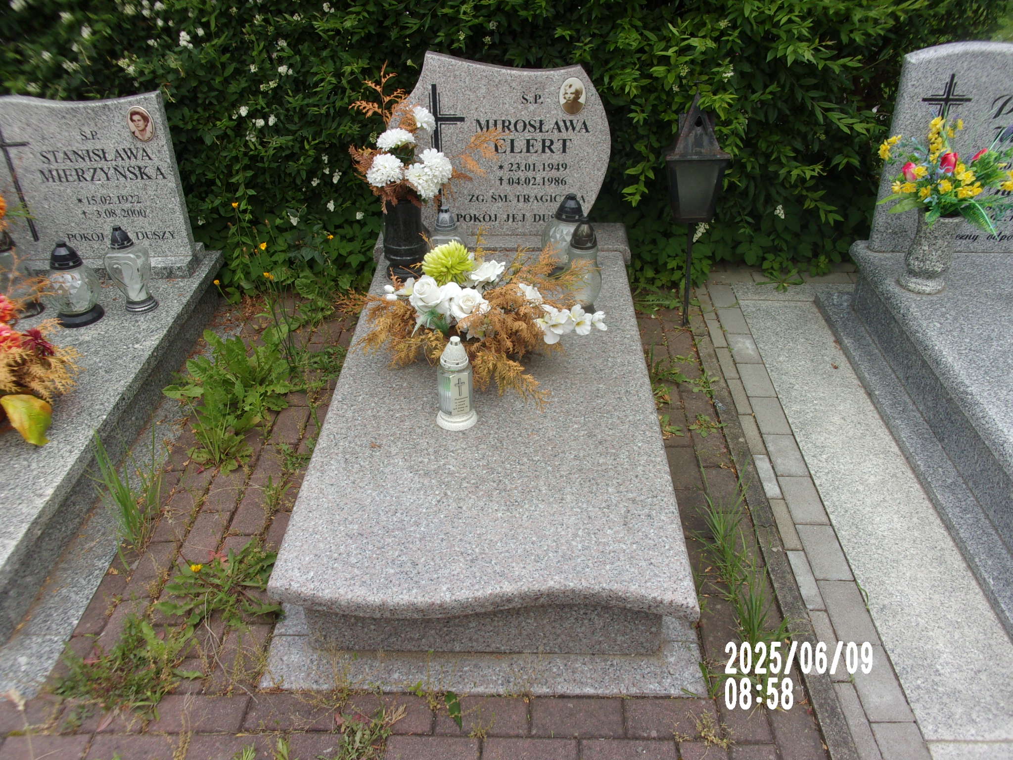 Mirosława Elert 1949 Zgorzelec - Grobonet - Wyszukiwarka osób pochowanych