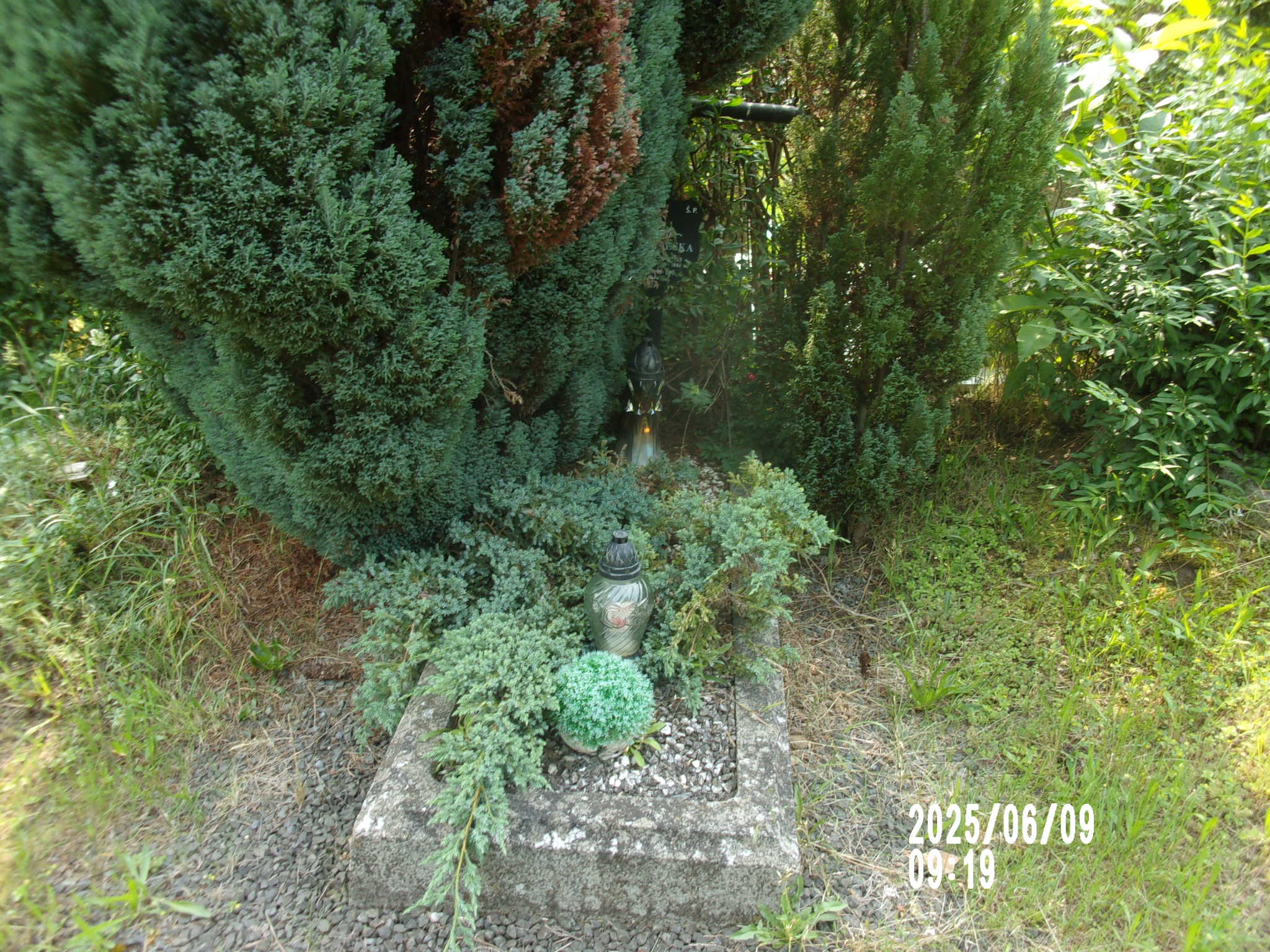 Grób Janina Czekalska