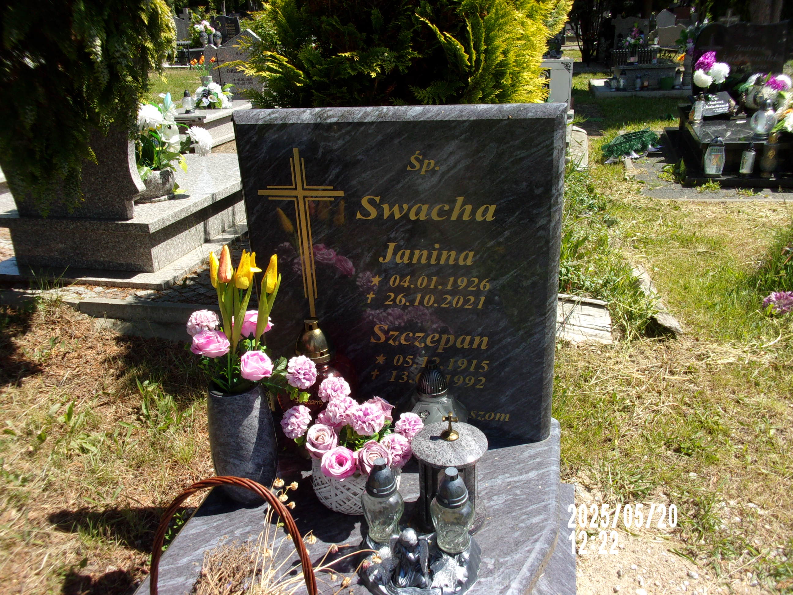 Szczepan Swacha 1915 Zgorzelec - Grobonet - Wyszukiwarka osób pochowanych