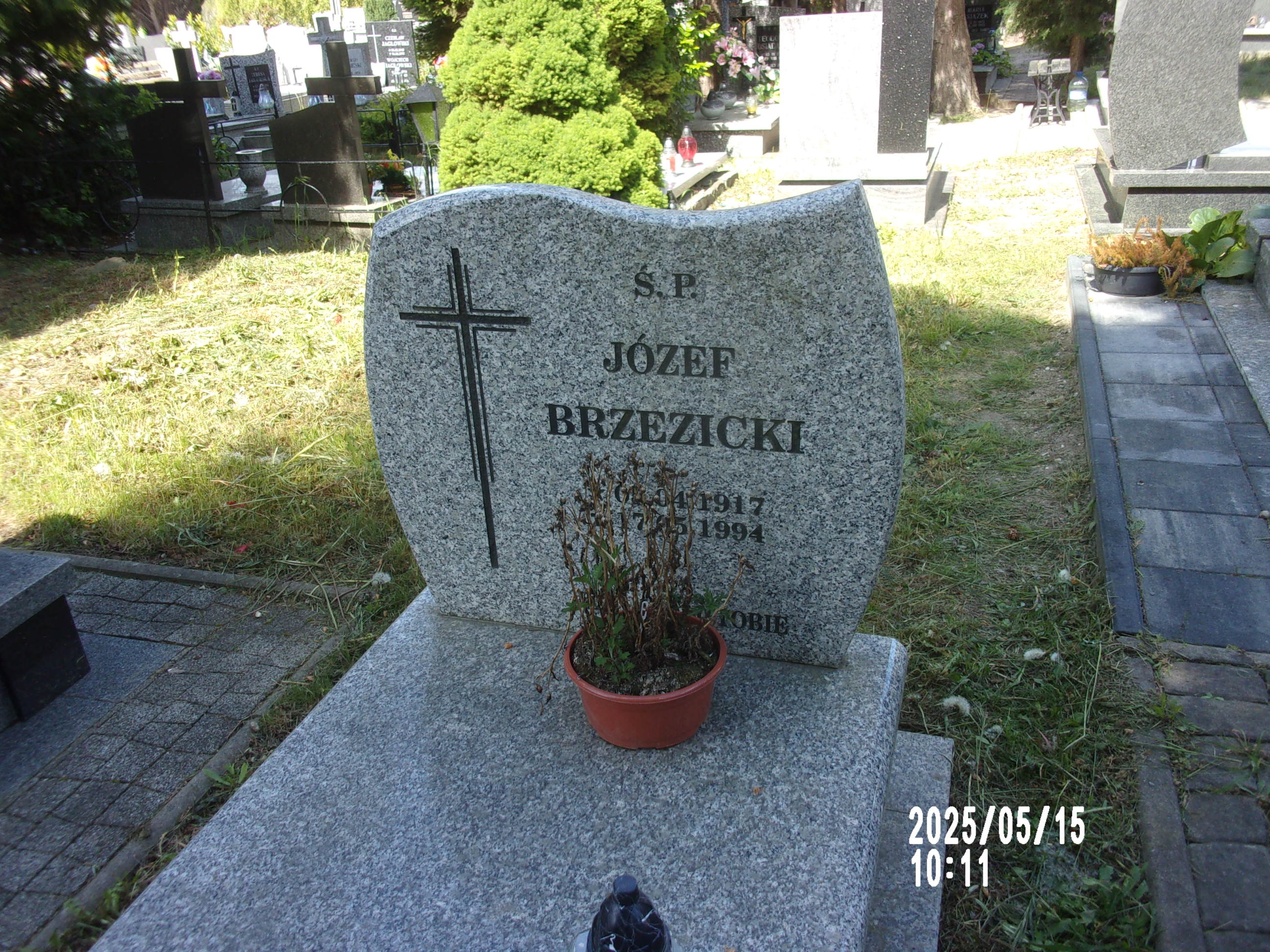 Józef Brzezicki 1917 Zgorzelec - Grobonet - Wyszukiwarka osób pochowanych