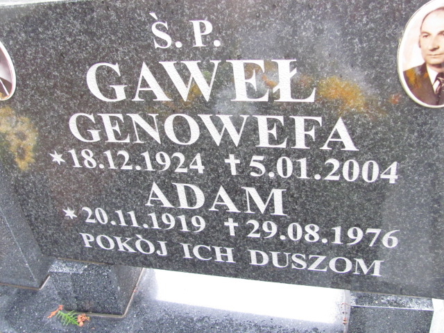 Adam Gaweł 1919 Zgorzelec - Grobonet - Wyszukiwarka osób pochowanych