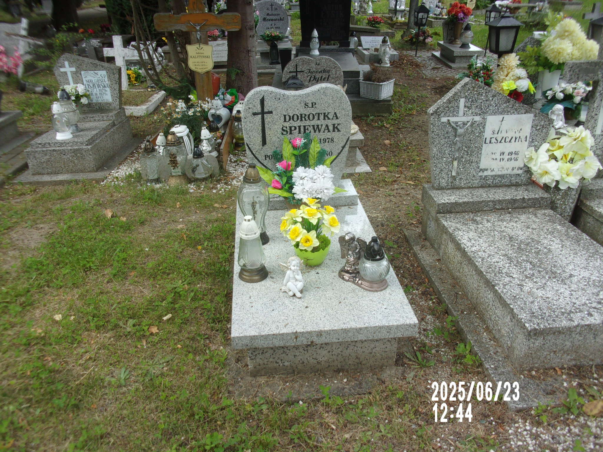 Grób Dorota Śpiewak