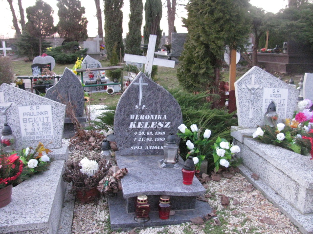Grób Weronika Trześniewska