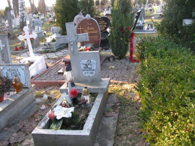 Krzysztof Rafałowski 1982 Zgorzelec - Grobonet - Wyszukiwarka osób pochowanych