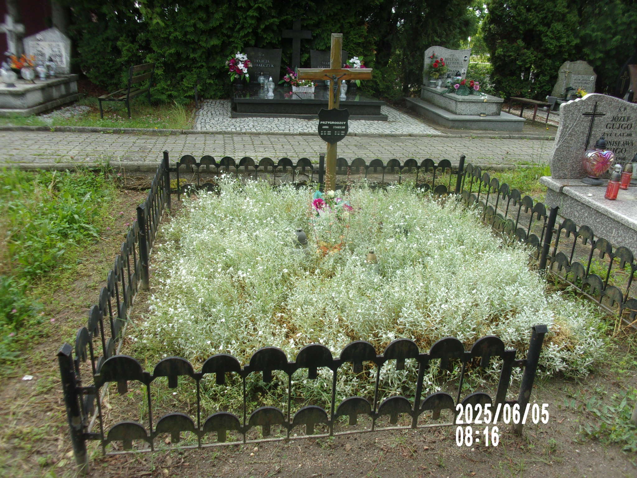 Grób Anna Przygrodzka