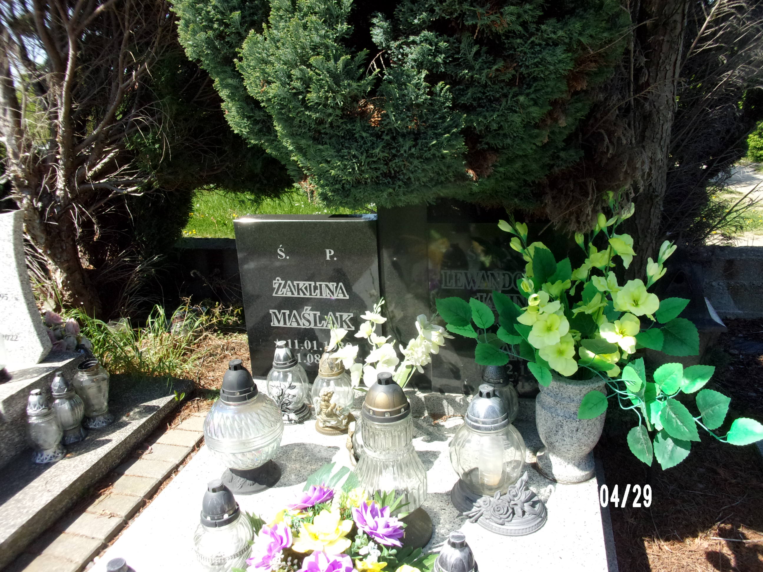 Janina Lewandowska 1908 Zgorzelec - Grobonet - Wyszukiwarka osób pochowanych