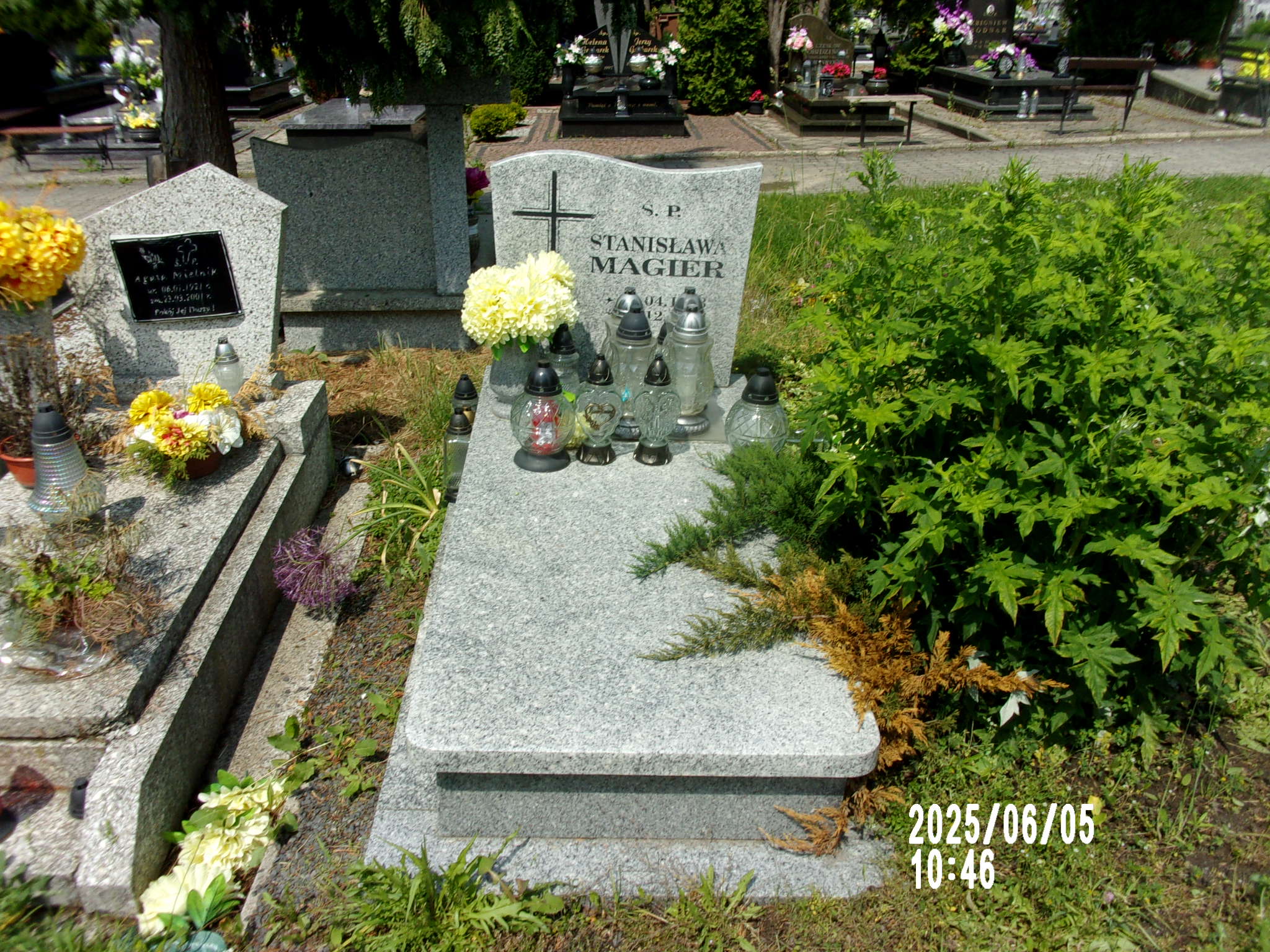 Stanisława Magier 1903 Zgorzelec - Grobonet - Wyszukiwarka osób pochowanych