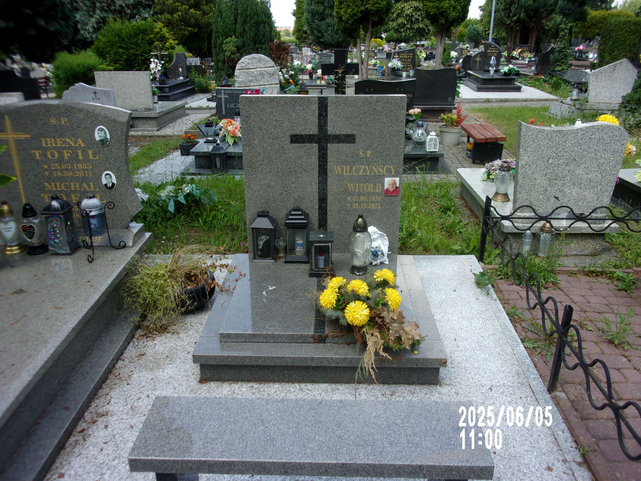 Witold Wilczyński 1936 Zgorzelec - Grobonet - Wyszukiwarka osób pochowanych