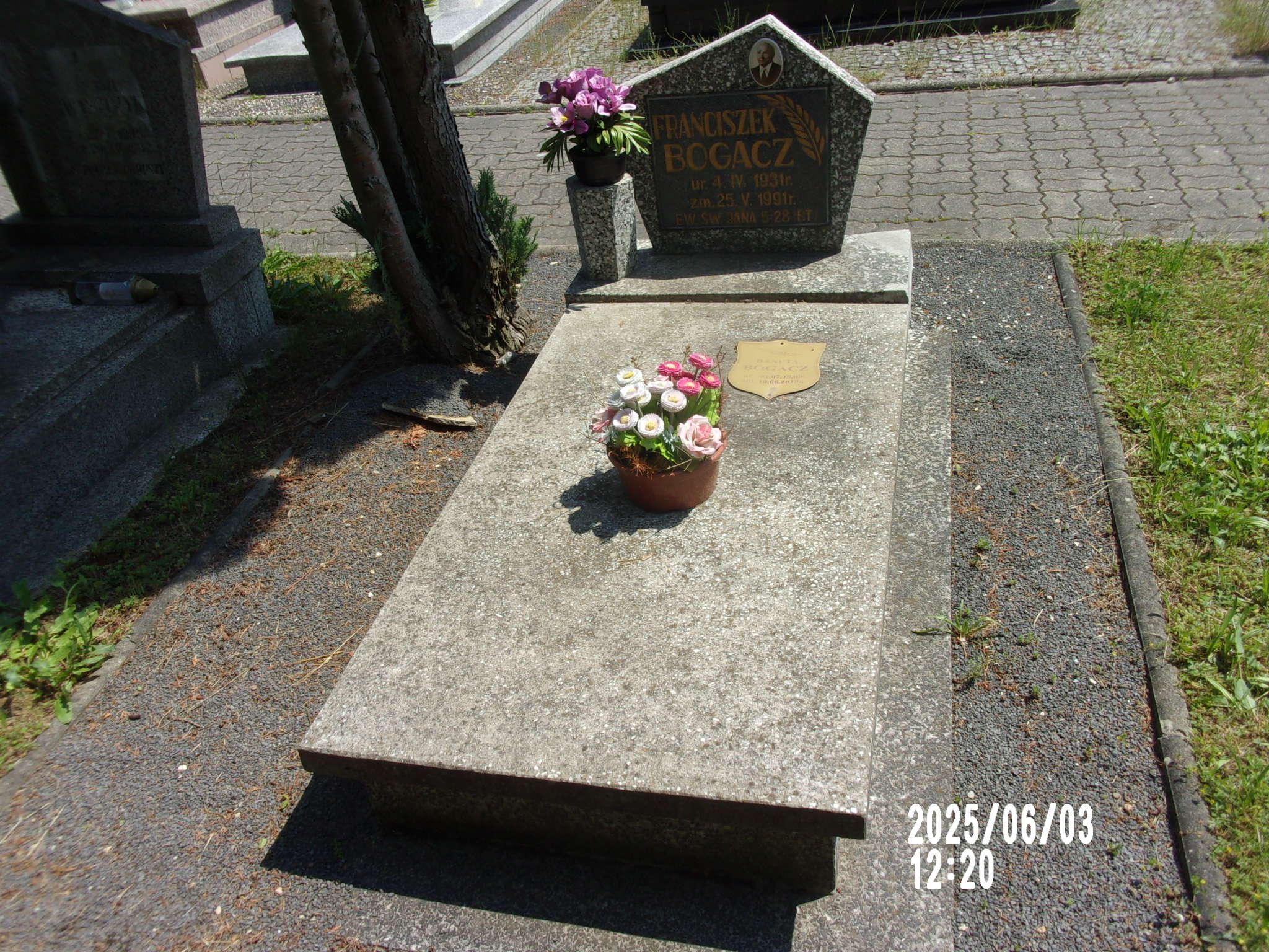 Franciszek Bogacz 1931 Zgorzelec - Grobonet - Wyszukiwarka osób pochowanych