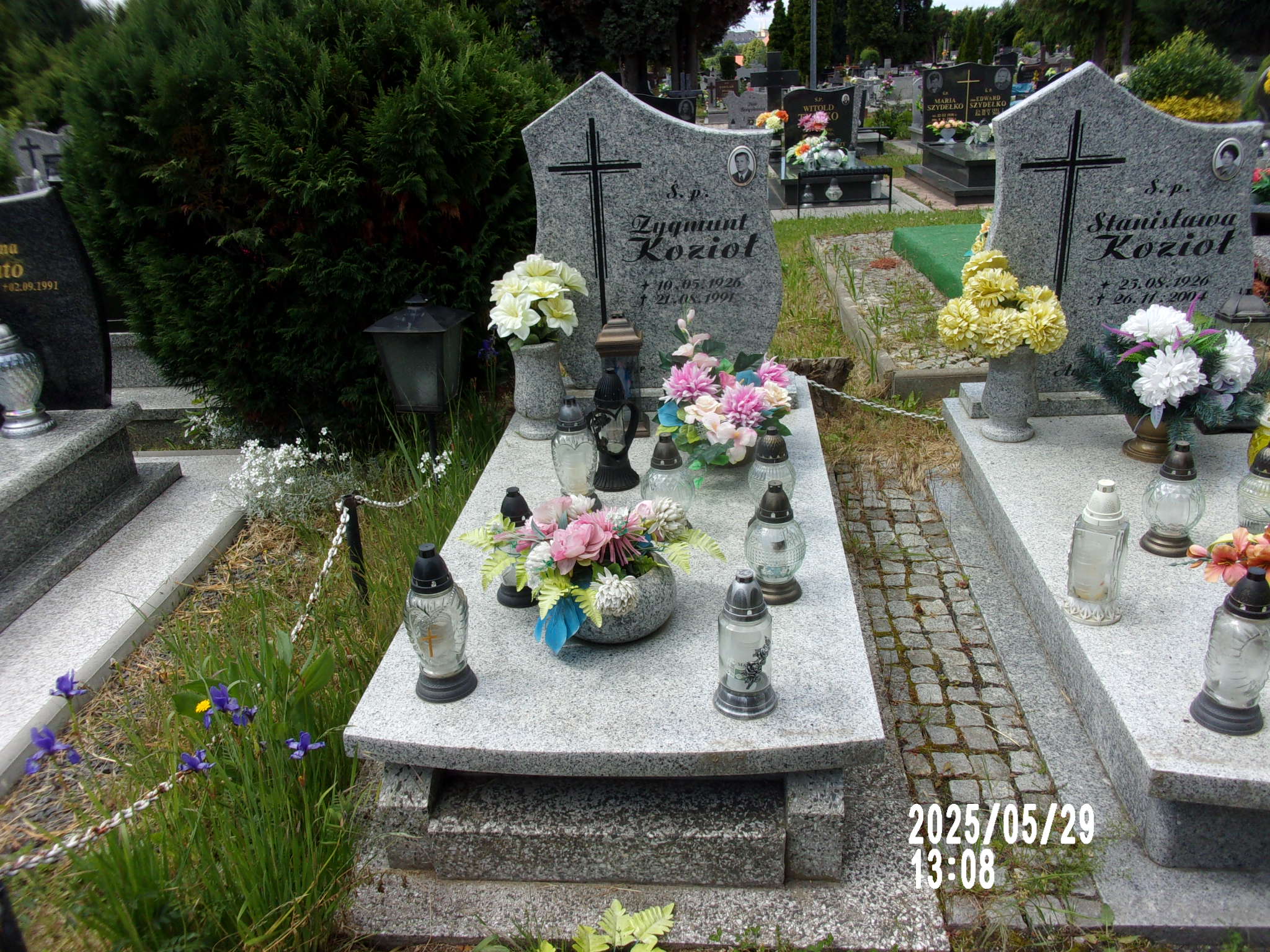 Grób Alfred Ławrynowicz