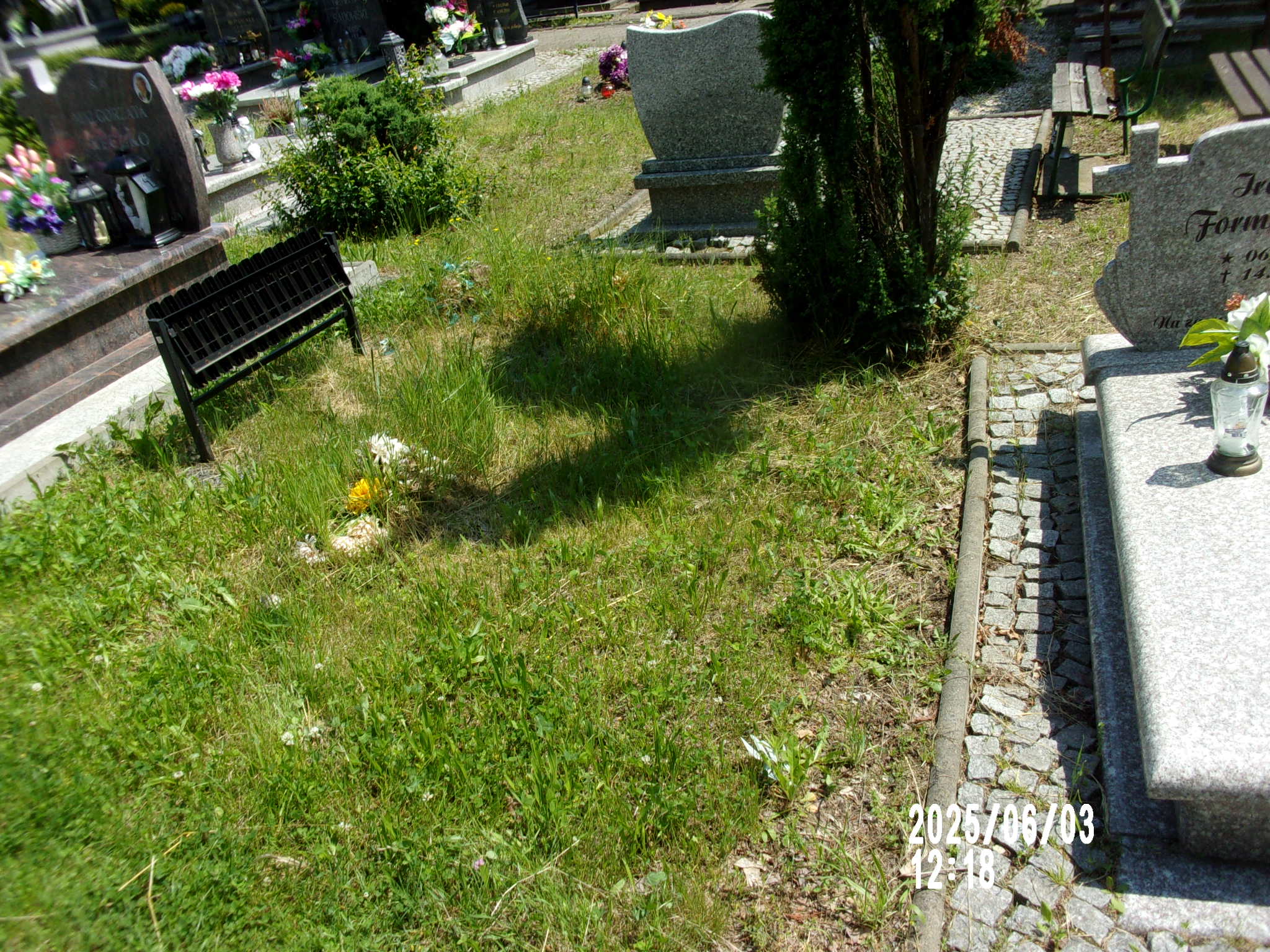 Danuta Bukraba 1929 Zgorzelec - Grobonet - Wyszukiwarka osób pochowanych