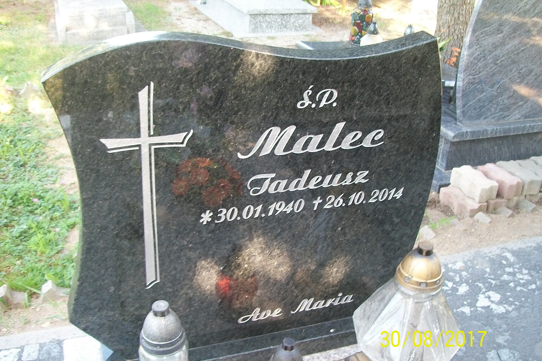 Tadeusz Malec 1940 Zgorzelec - Grobonet - Wyszukiwarka osób pochowanych