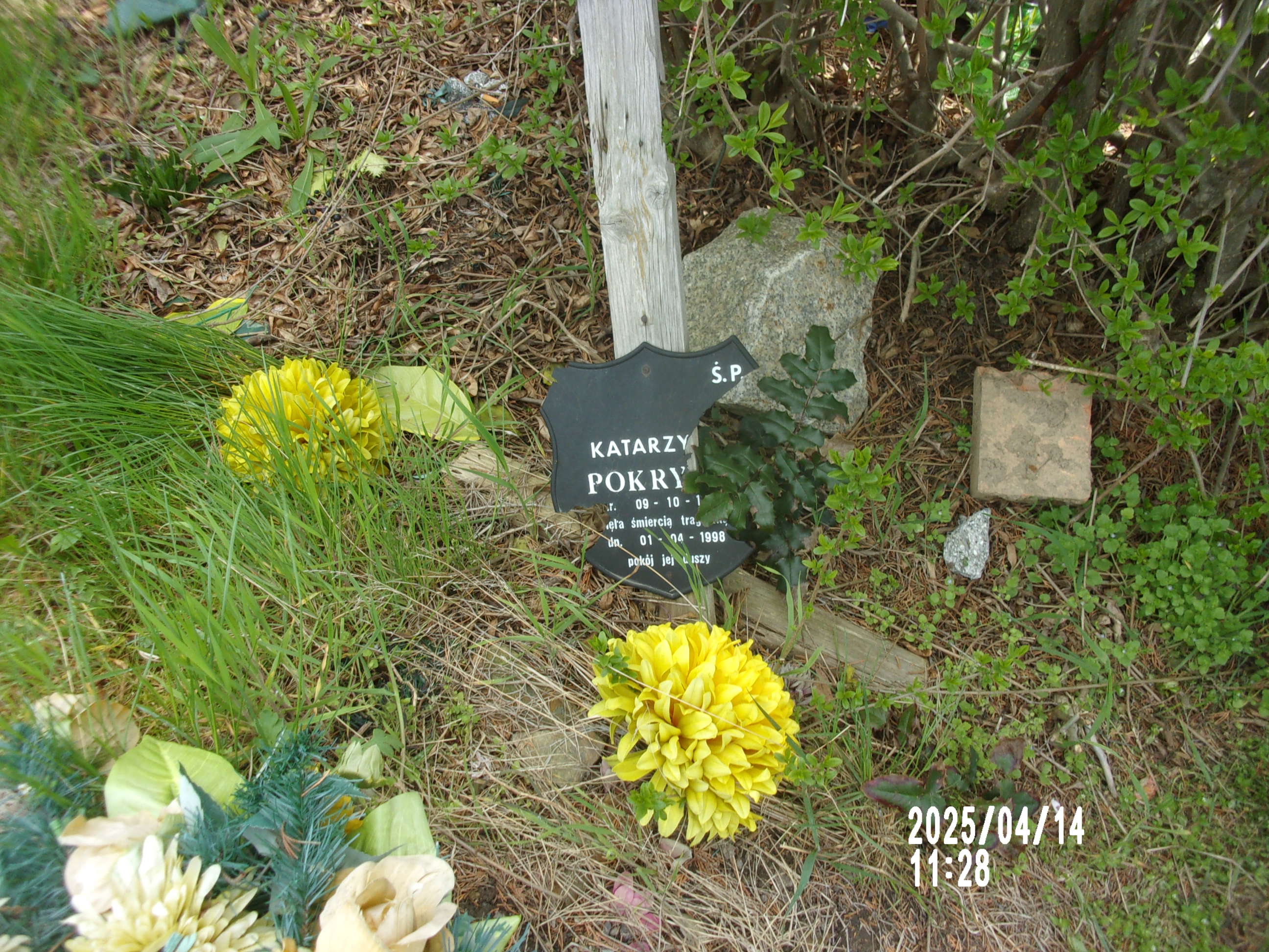 Katarzyna Pokrywa 1971 Zgorzelec - Grobonet - Wyszukiwarka osób pochowanych