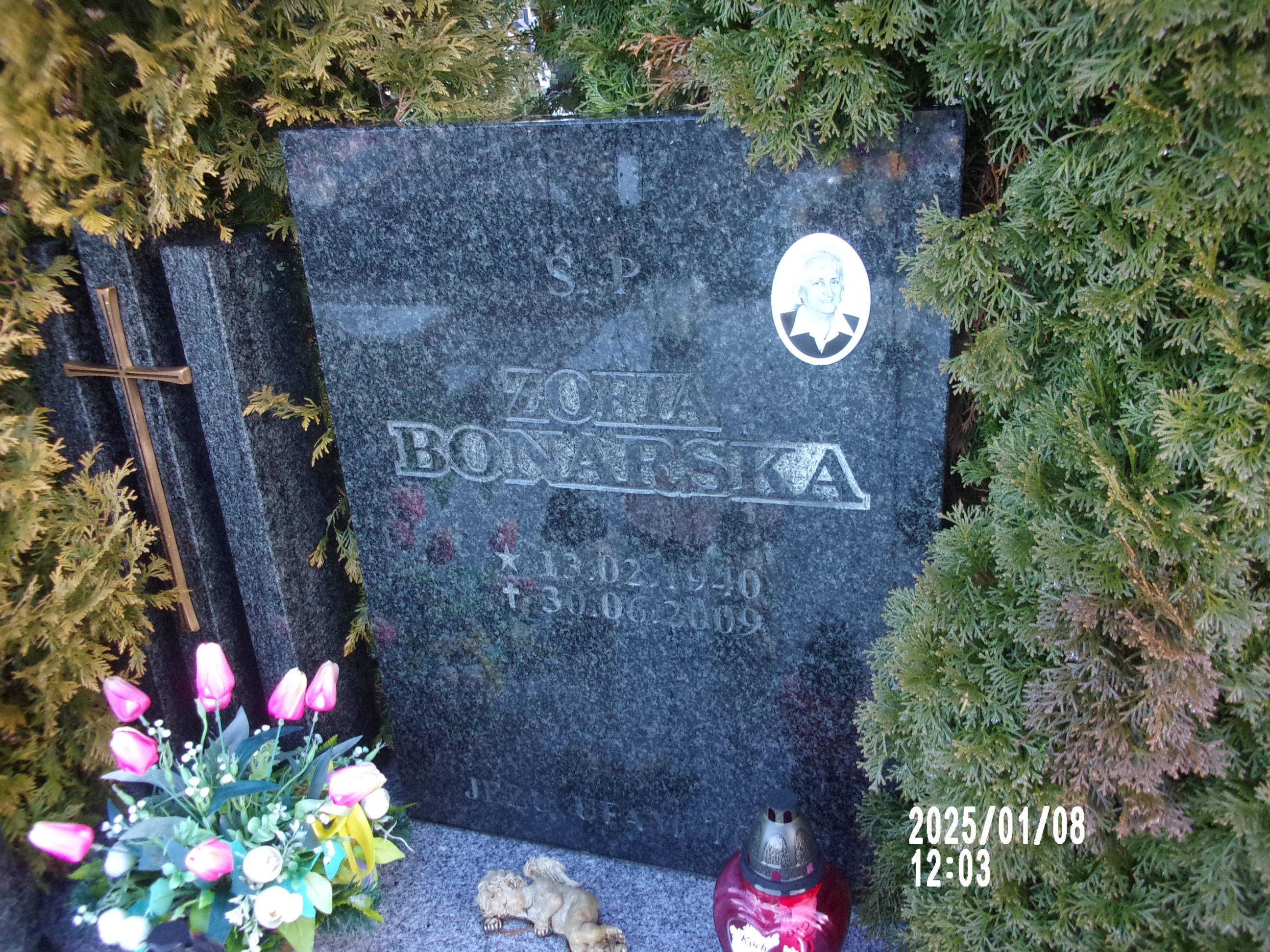 Zofia Bonarska 1940 Zgorzelec - Grobonet - Wyszukiwarka osób pochowanych