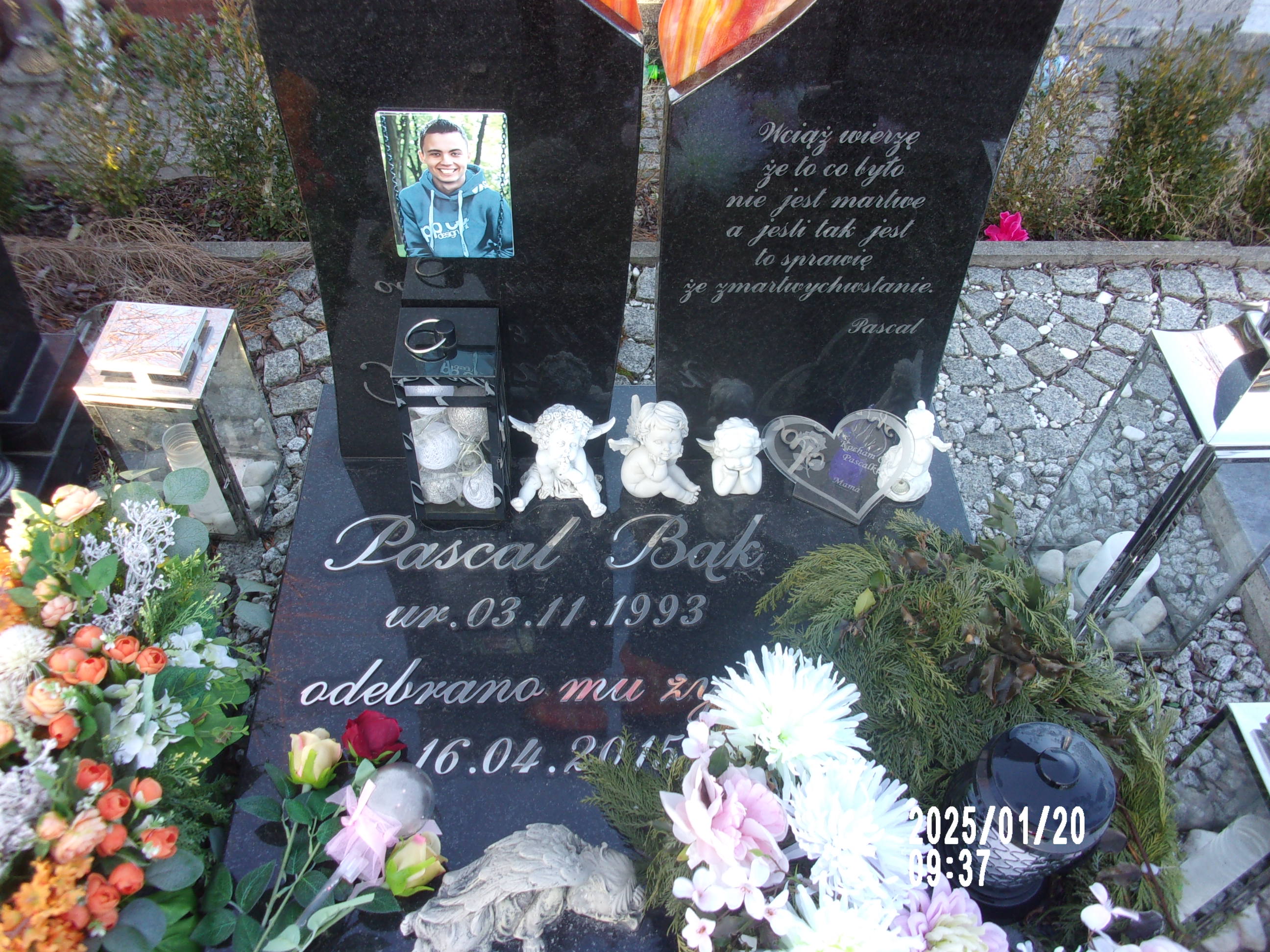 Pascal Bąk 1993 Zgorzelec - Grobonet - Wyszukiwarka osób pochowanych