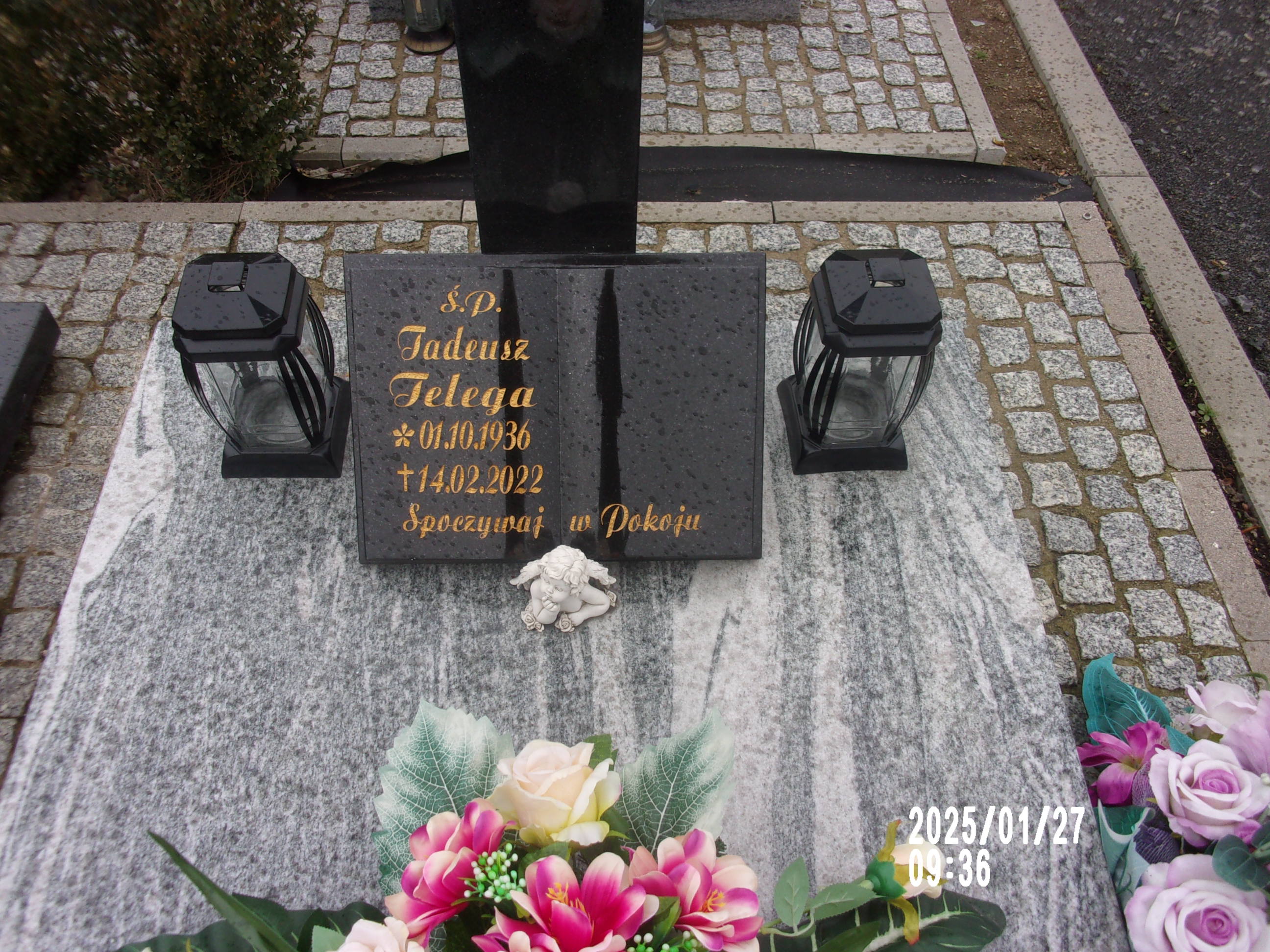 Tadeusz Telega 1936 Zgorzelec - Grobonet - Wyszukiwarka osób pochowanych