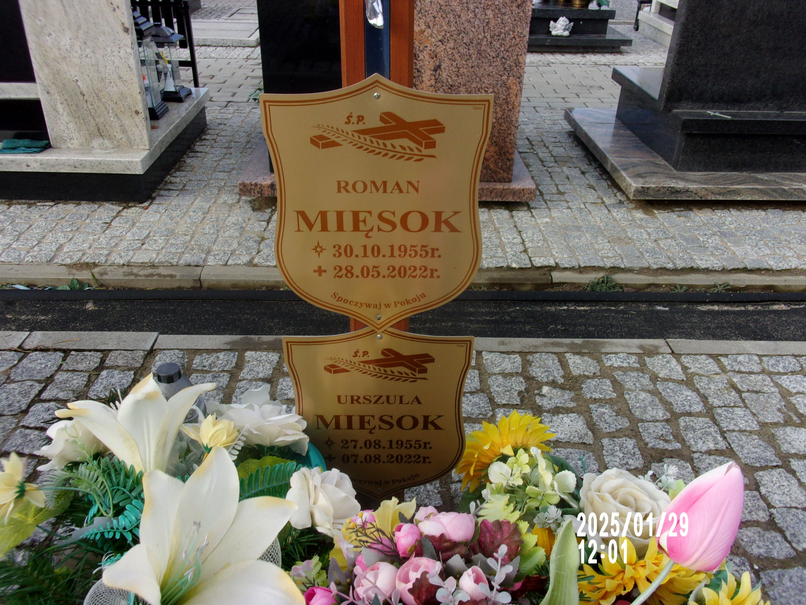 Roman Mięsok 1955 Zgorzelec - Grobonet - Wyszukiwarka osób pochowanych