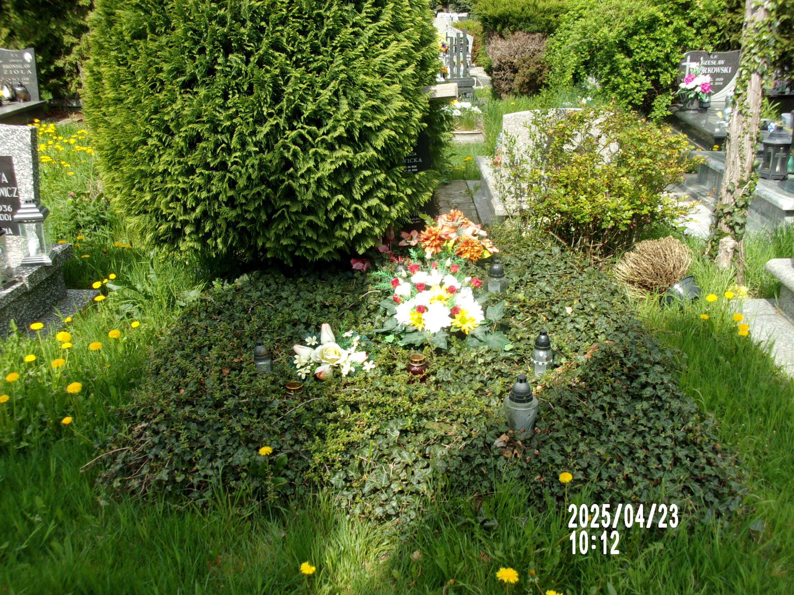 Józef Nowicki 1935 Zgorzelec - Grobonet - Wyszukiwarka osób pochowanych