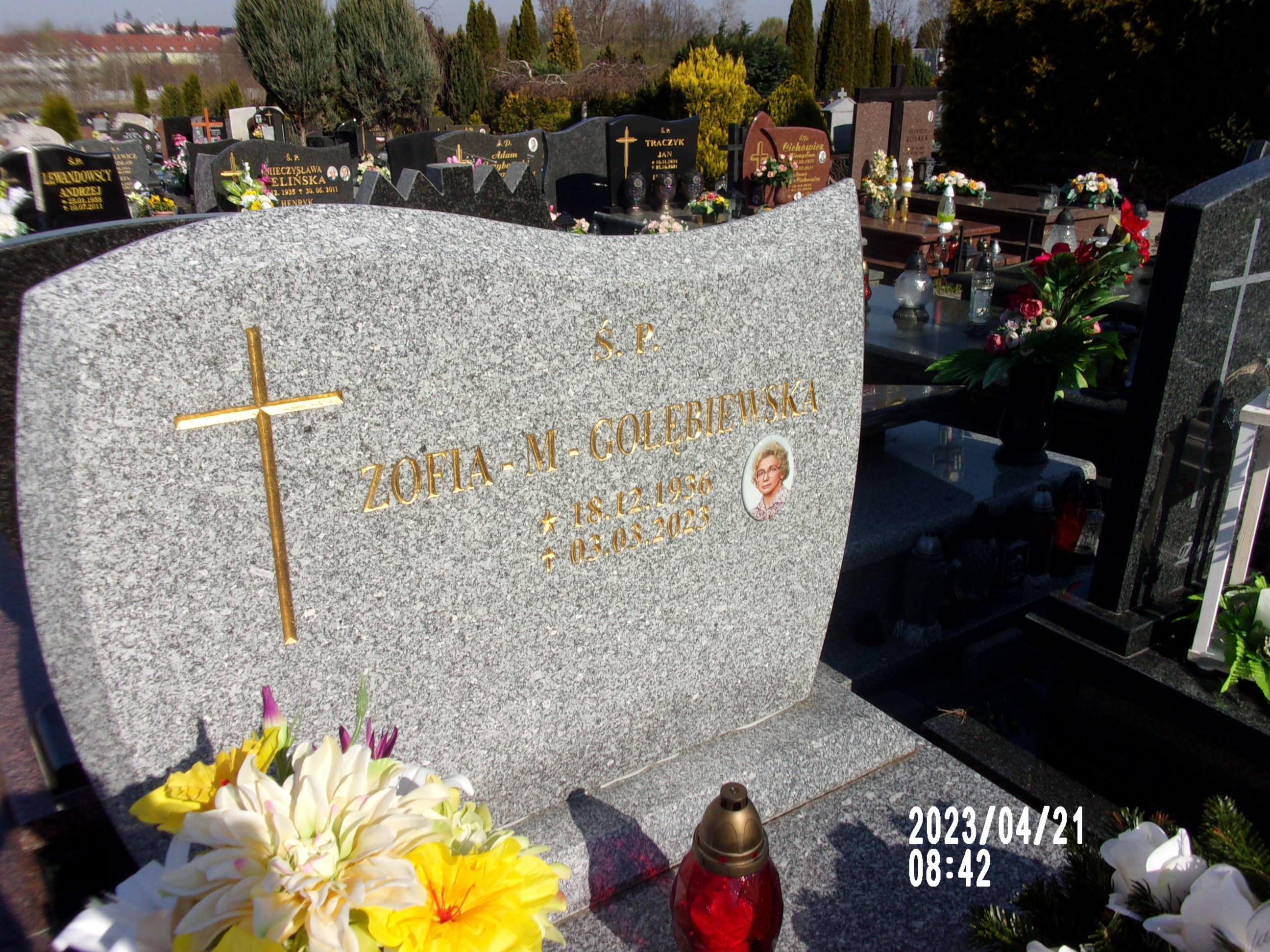 Zofia Gołębiewska 1936 Zgorzelec - Grobonet - Wyszukiwarka osób pochowanych