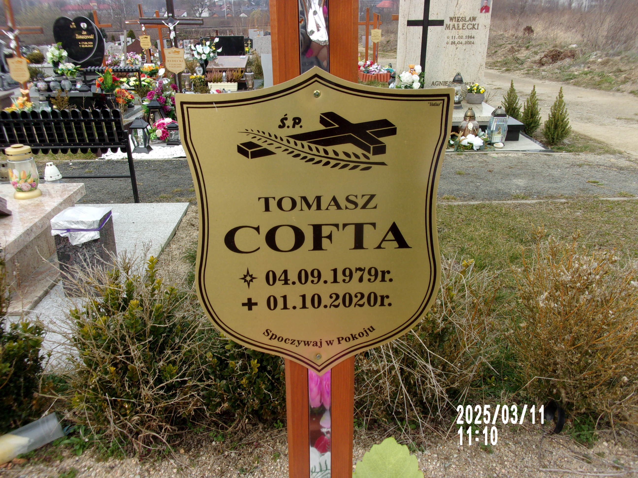 Tomasz Cofta 1979 Zgorzelec - Grobonet - Wyszukiwarka osób pochowanych