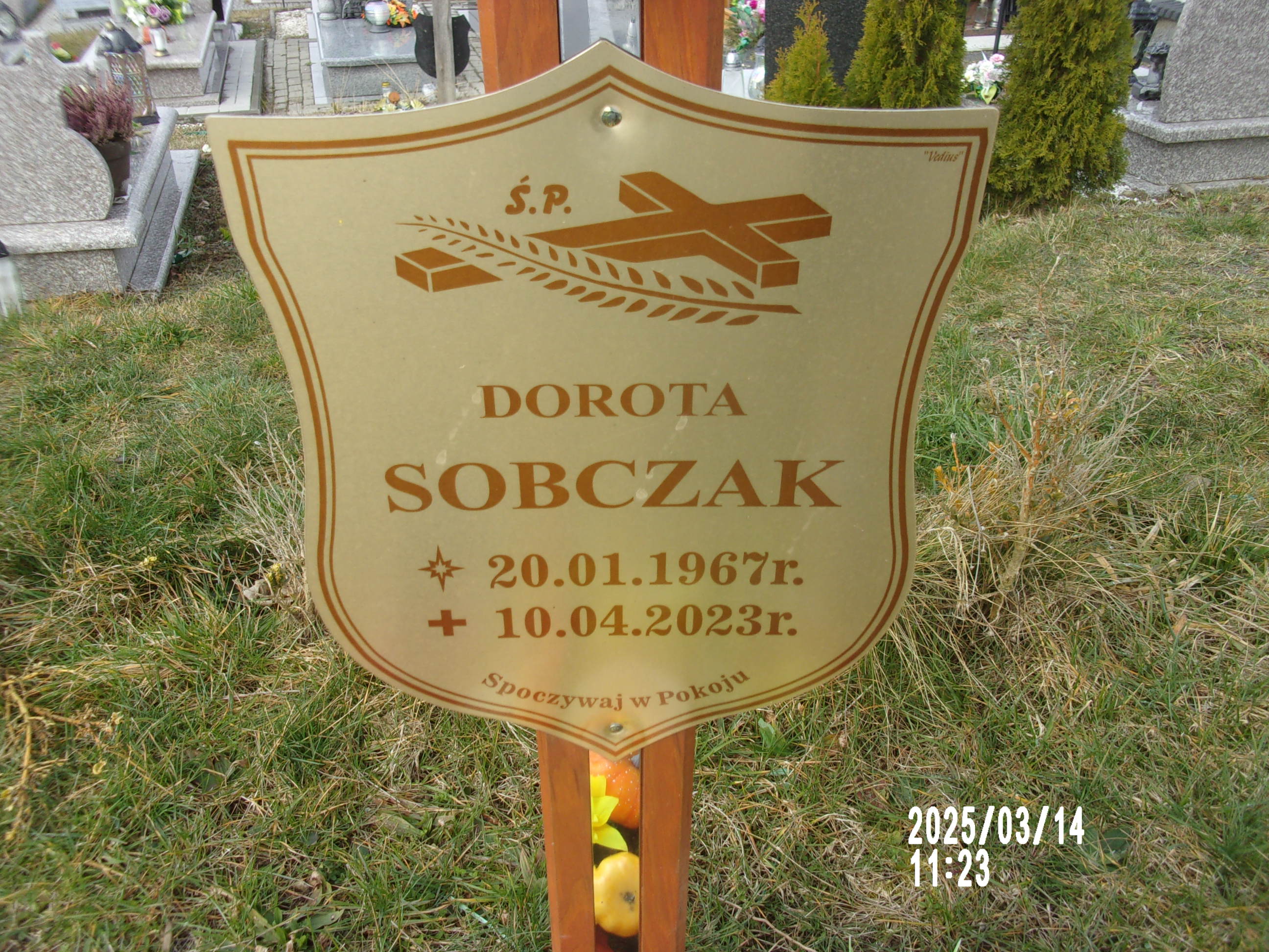 Dorota Sobczak 1967 Zgorzelec - Grobonet - Wyszukiwarka osób pochowanych