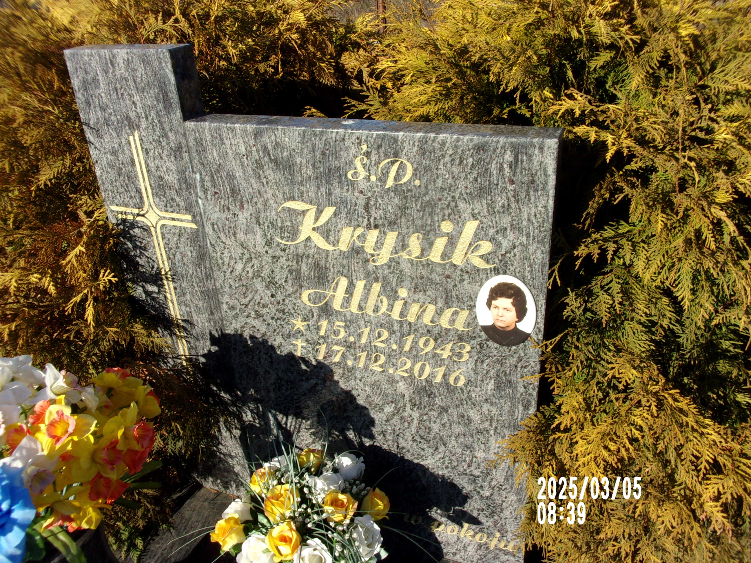 Albina Krysik 1943 Zgorzelec - Grobonet - Wyszukiwarka osób pochowanych