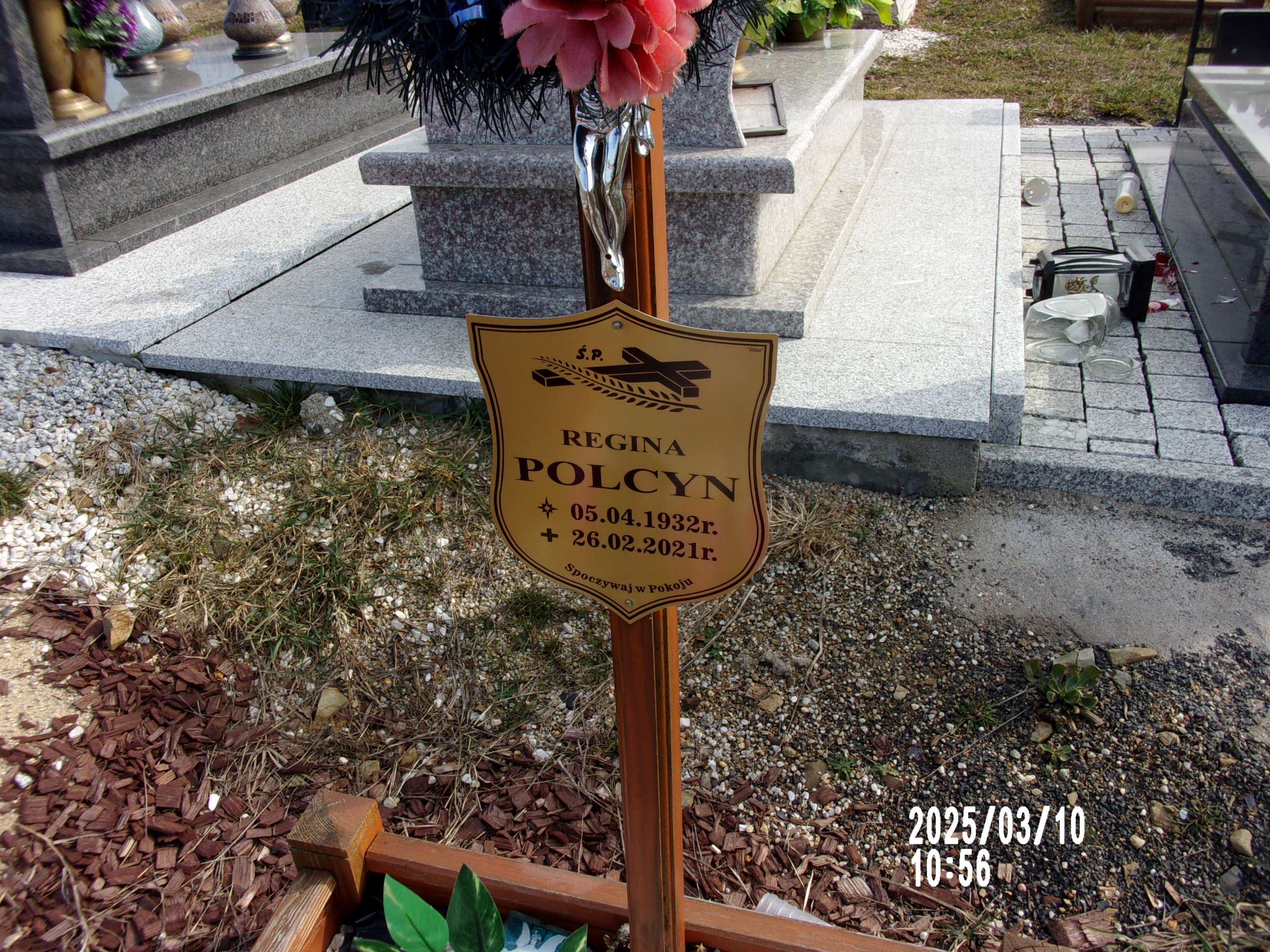Regina Polcyn 1932 Zgorzelec - Grobonet - Wyszukiwarka osób pochowanych