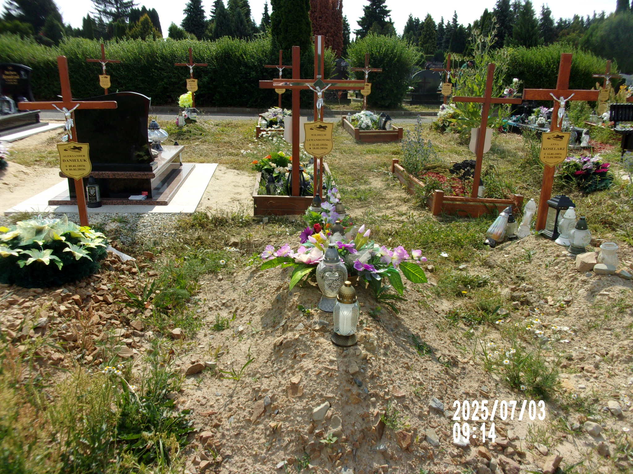 Wilhelm Lewandowski 1933 Zgorzelec - Grobonet - Wyszukiwarka osób pochowanych