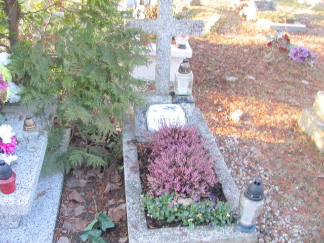 Elżbieta Tymicka 1954 Zgorzelec - Grobonet - Wyszukiwarka osób pochowanych