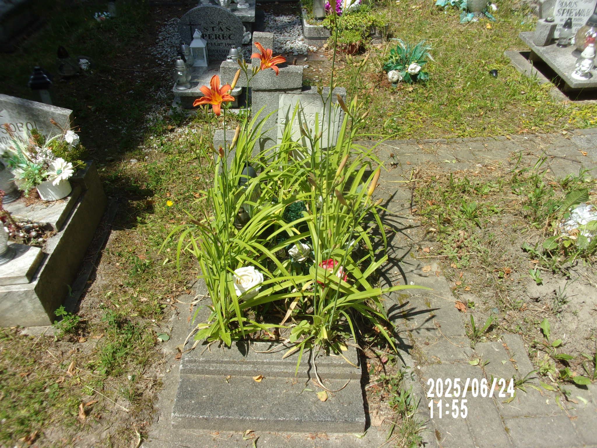 Zdjęcie grobu Leszek Zadrożny