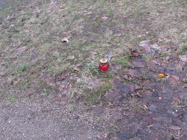  NN Zgorzelec - Grobonet - Wyszukiwarka osób pochowanych