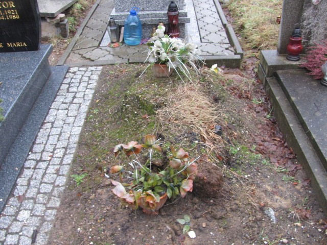  NN Zgorzelec - Grobonet - Wyszukiwarka osób pochowanych