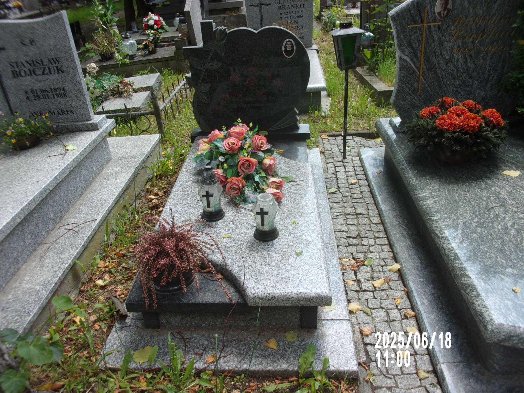 Zdjęcie grobu Róża Wosman