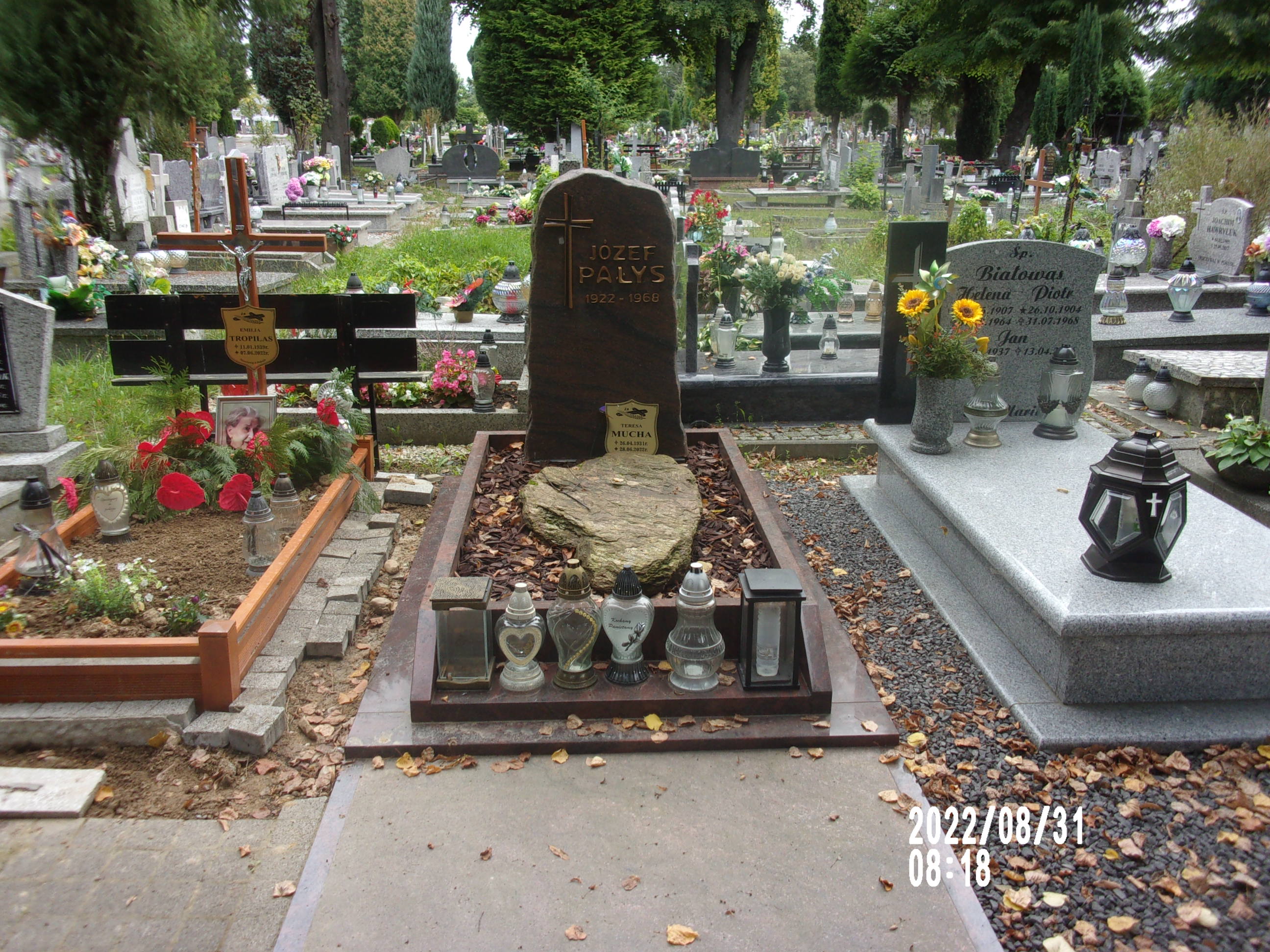 Józef Pałys 1922 Zgorzelec - Grobonet - Wyszukiwarka osób pochowanych